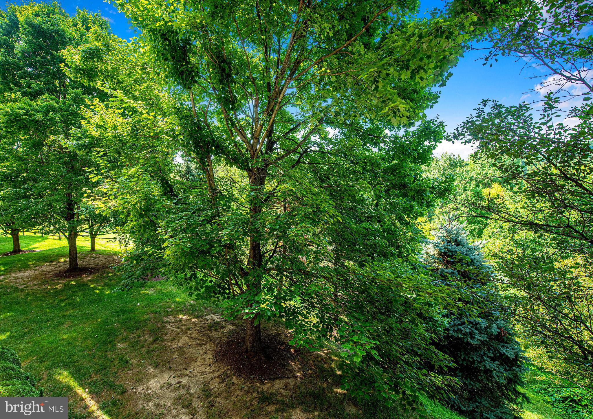 STONE RIDGE - Residential