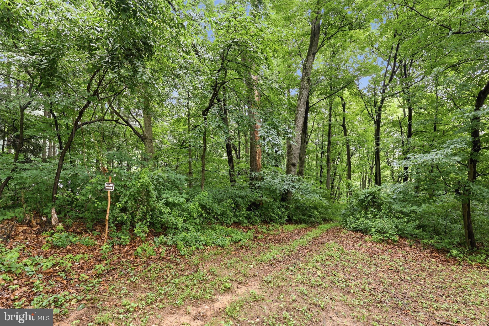 MT ZION ESTATES - Residential