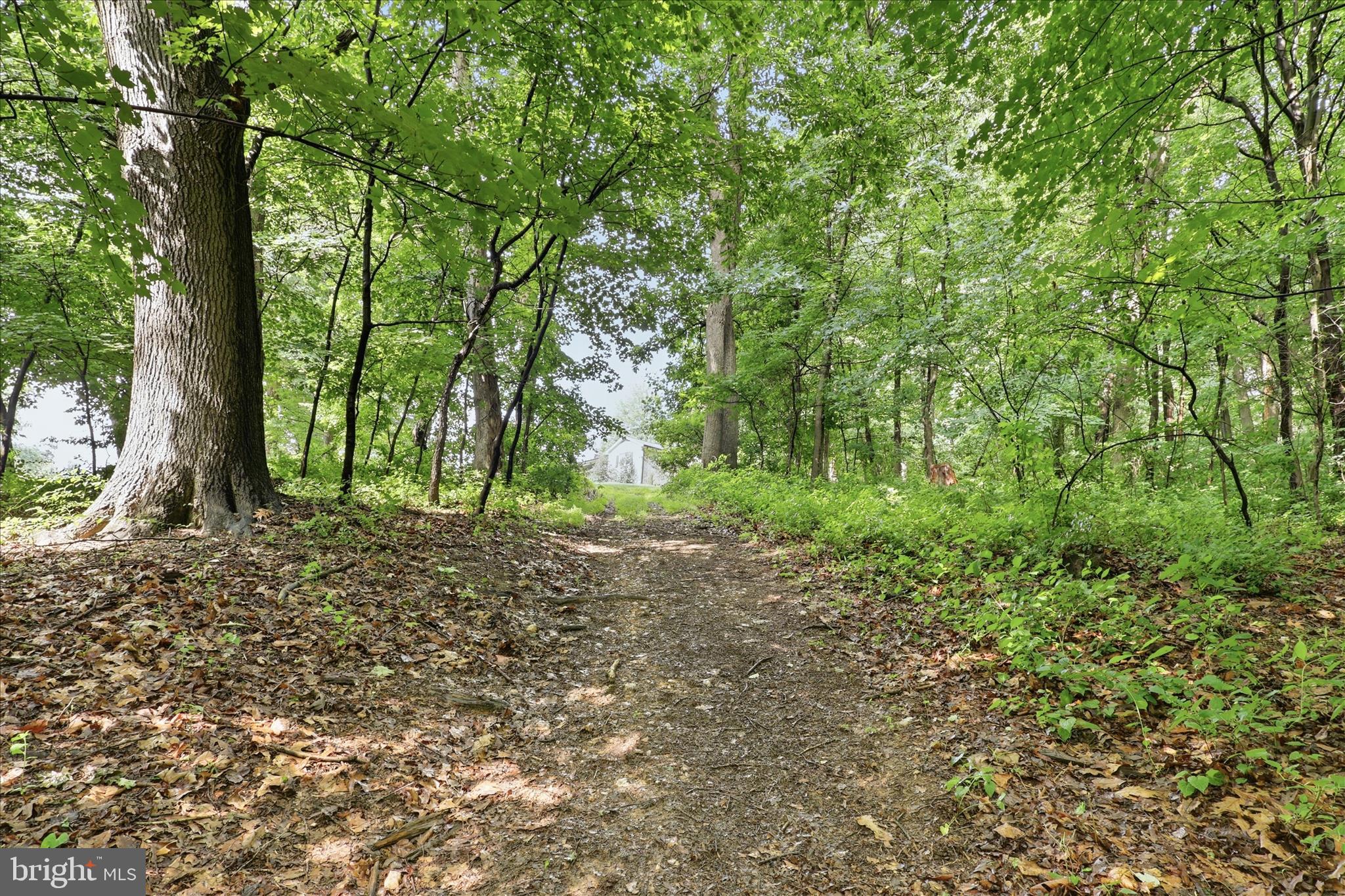 MT ZION ESTATES - Residential