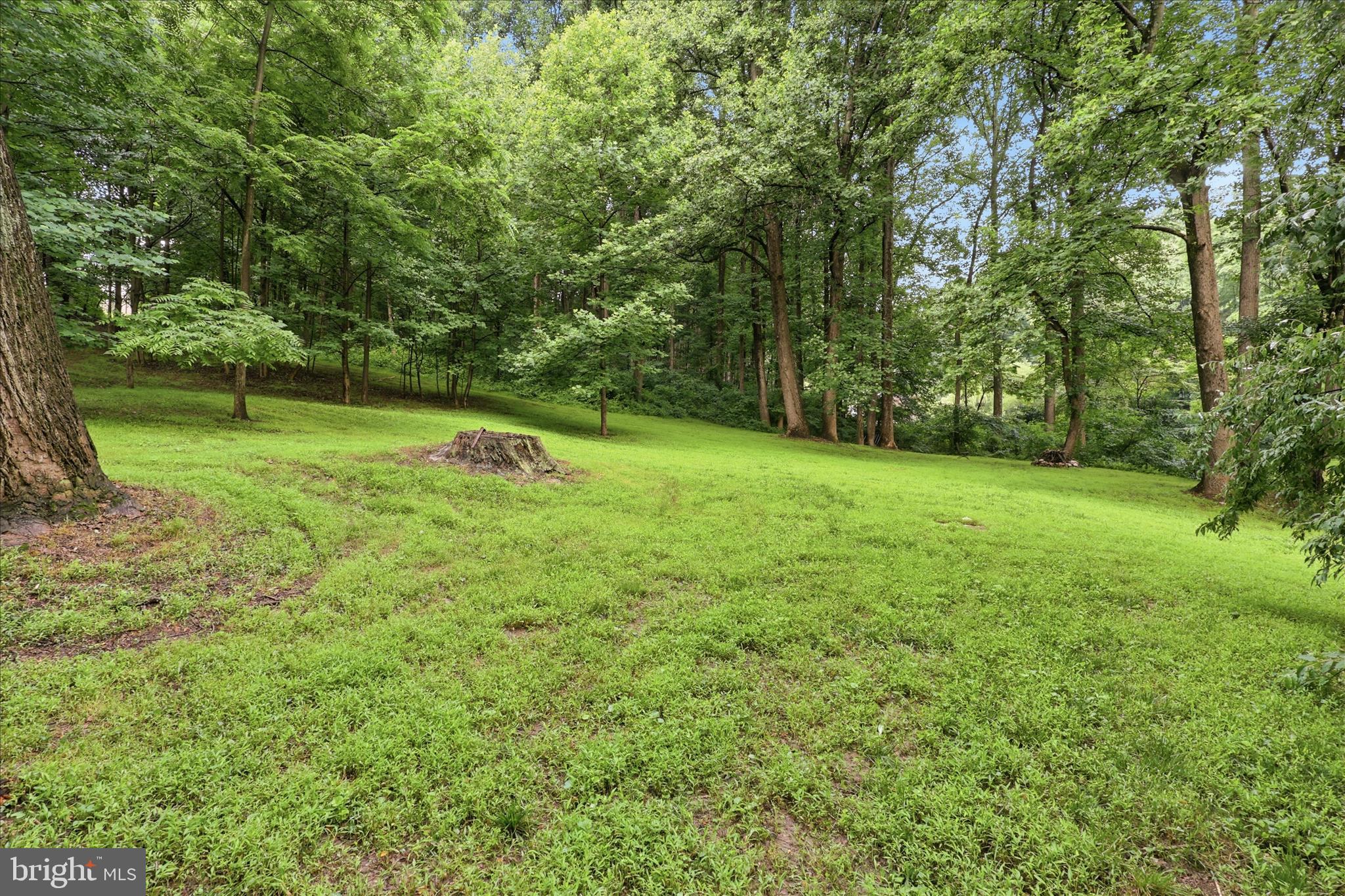 MT ZION ESTATES - Residential