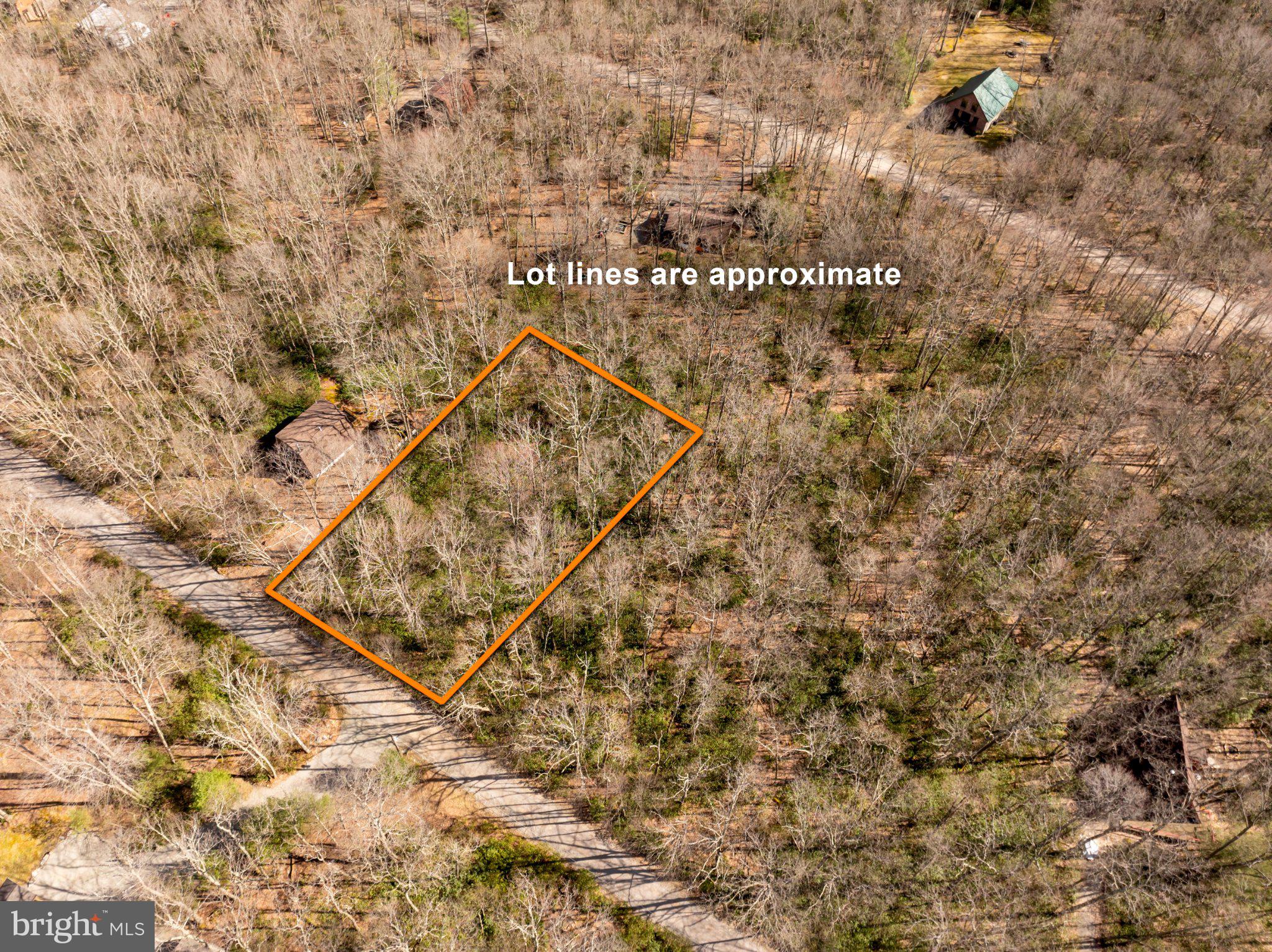 YOUGHIOUGHENY MOUNTAIN - Land