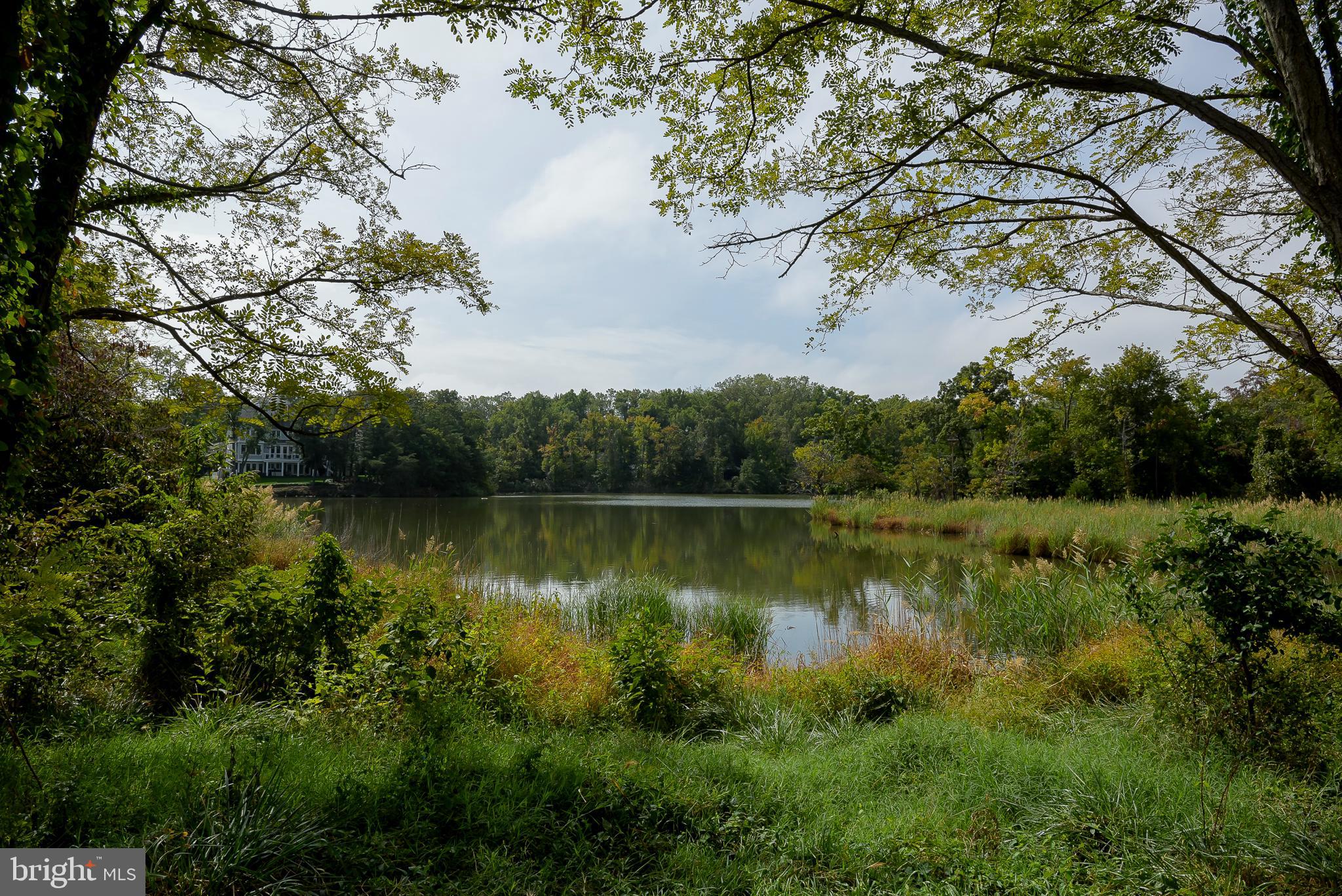 CHESAPEAKE HARBOUR - Residential
