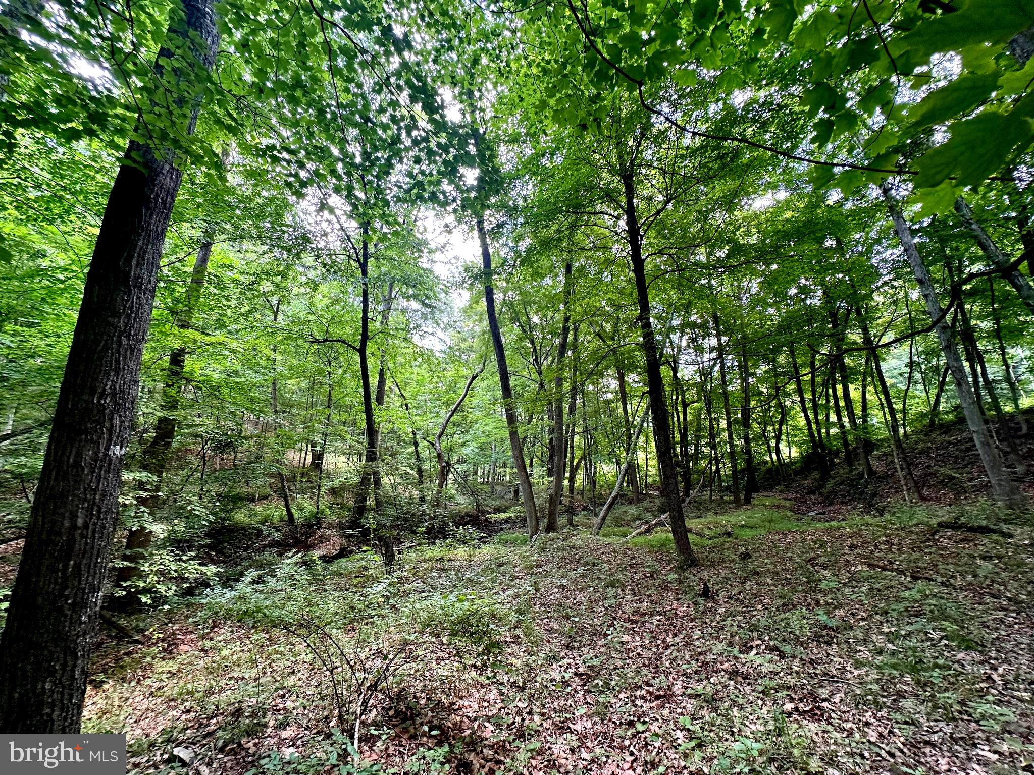 ASHTON WOODS - Land