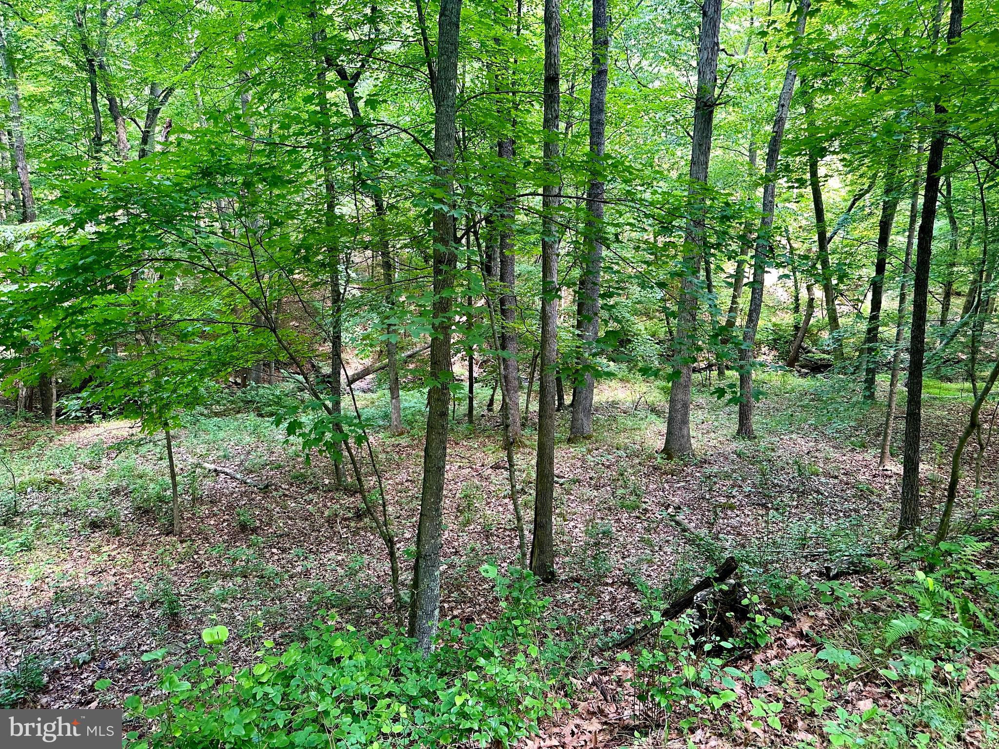 ASHTON WOODS - Land