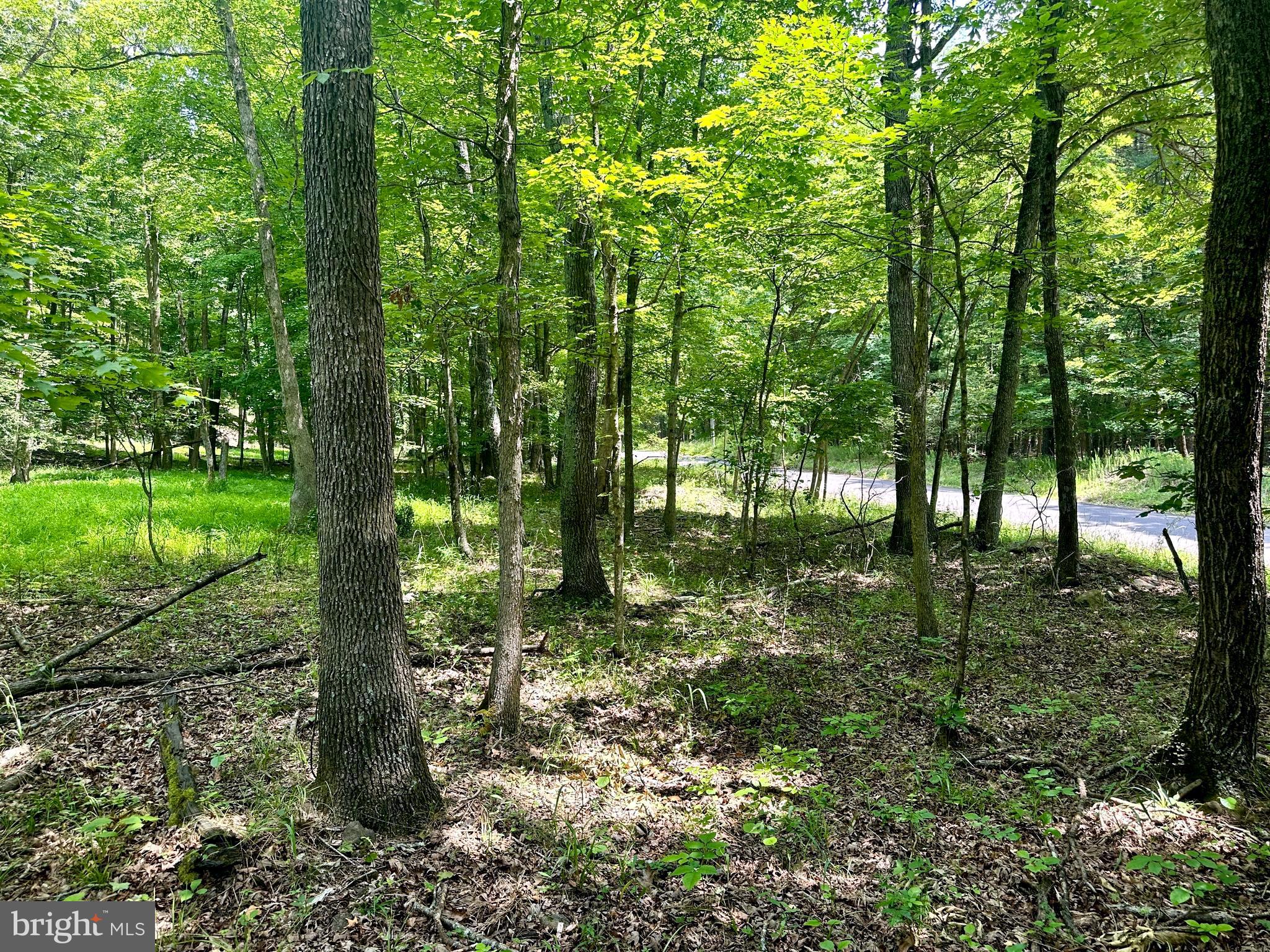 ASHTON WOODS - Land