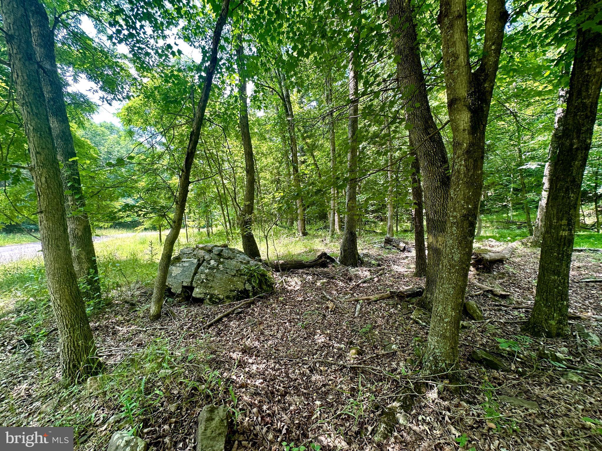 ASHTON WOODS - Land
