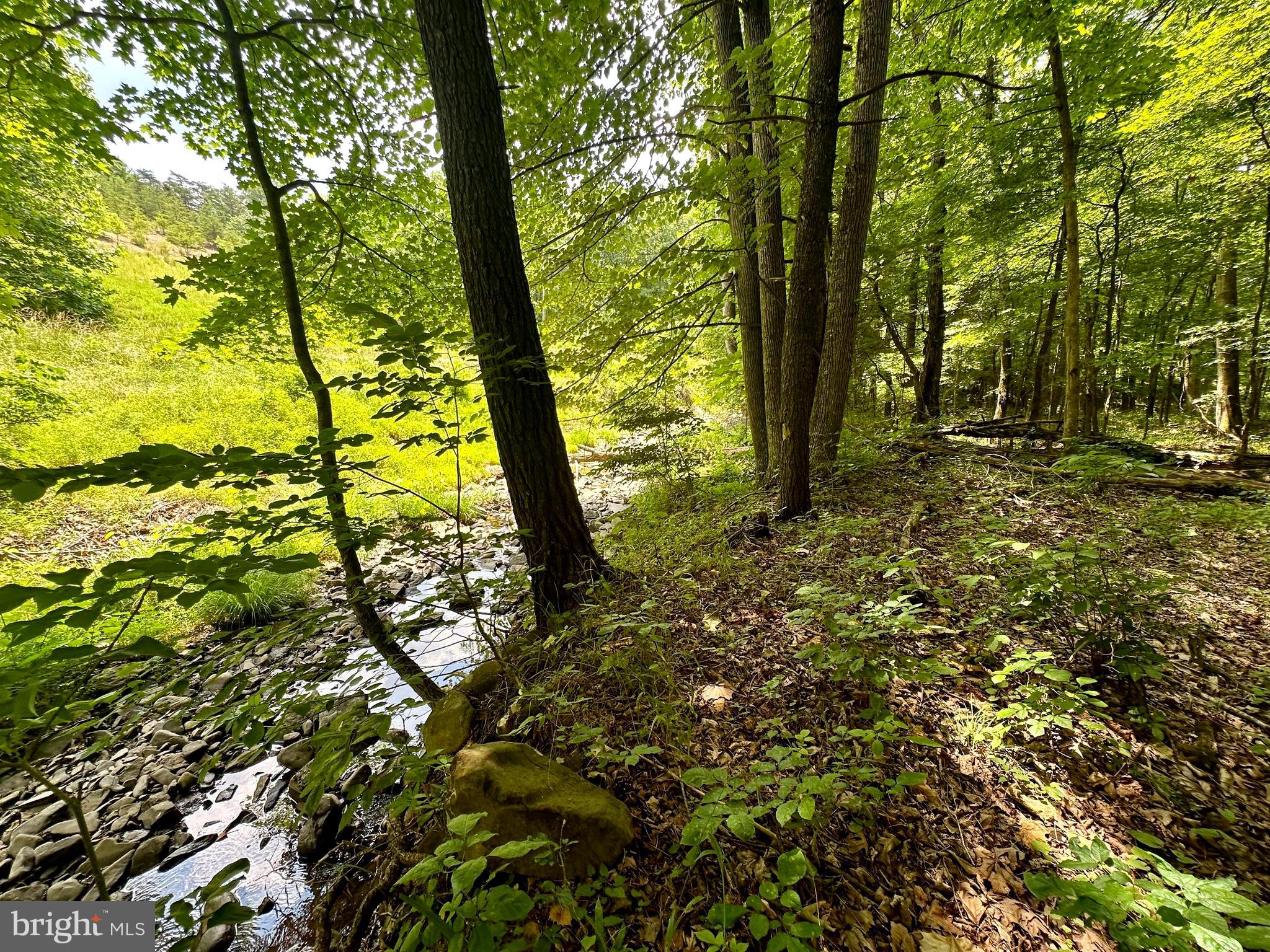 ASHTON WOODS - Land