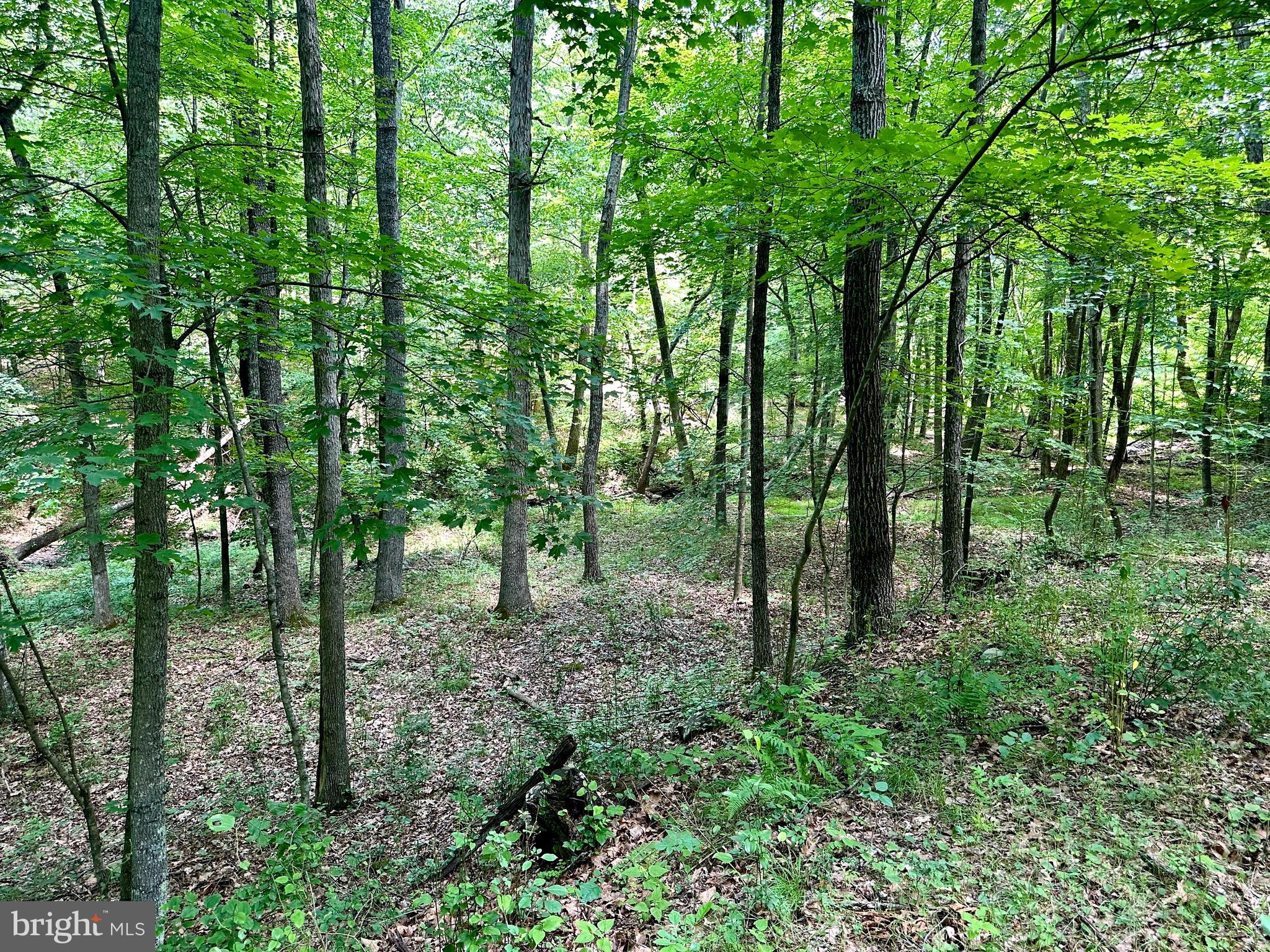 ASHTON WOODS - Land