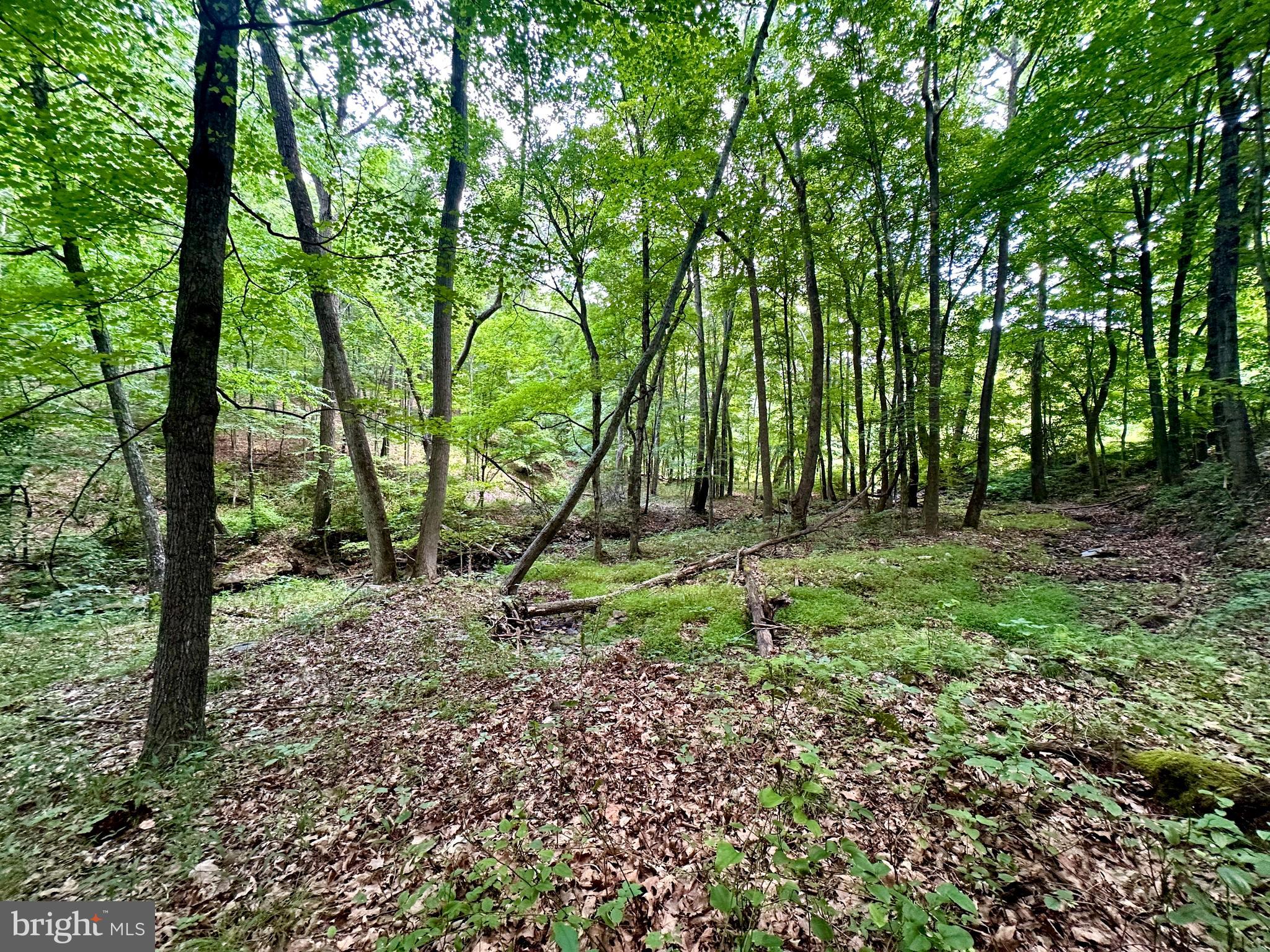 ASHTON WOODS - Land