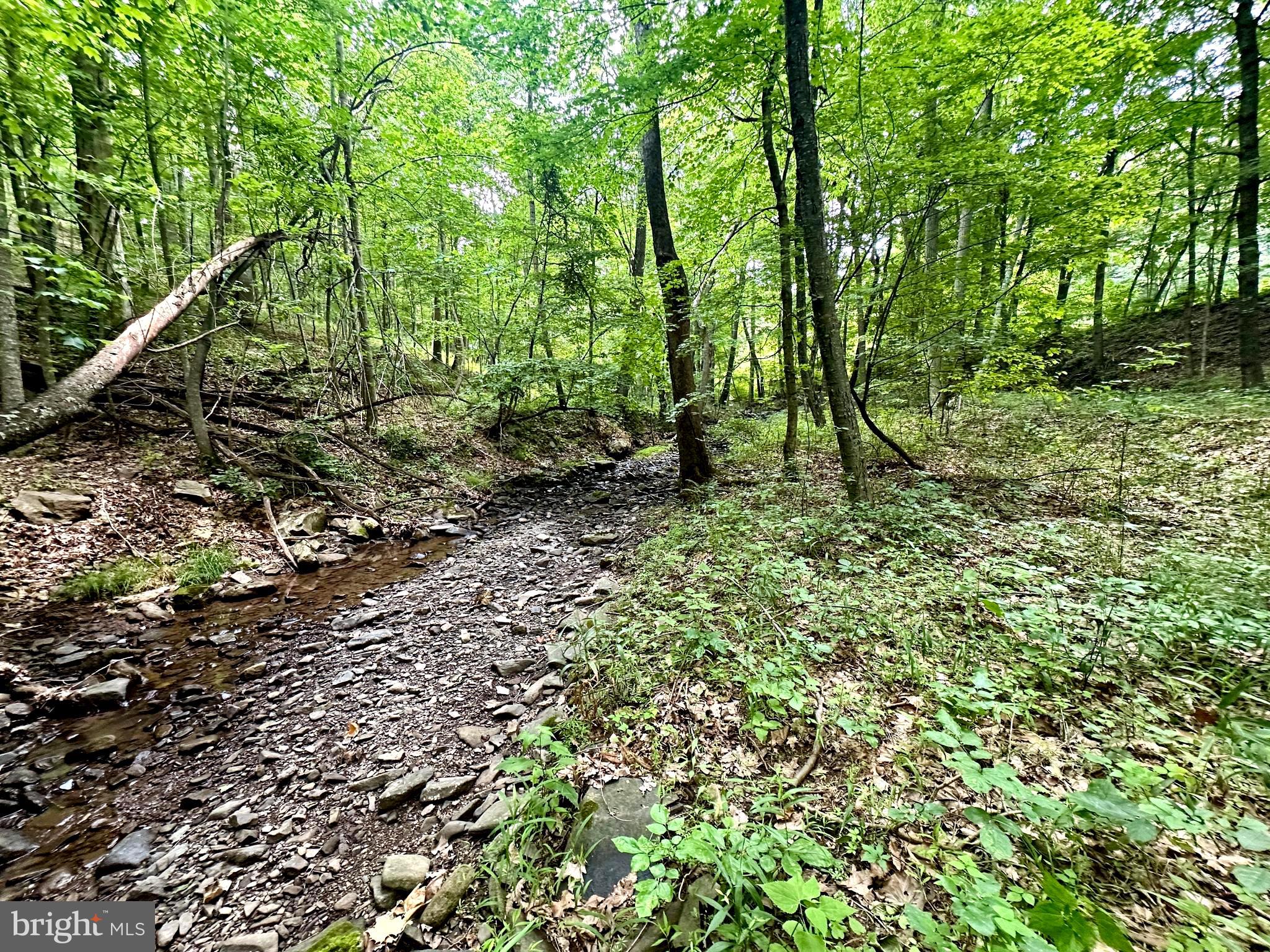ASHTON WOODS - Land