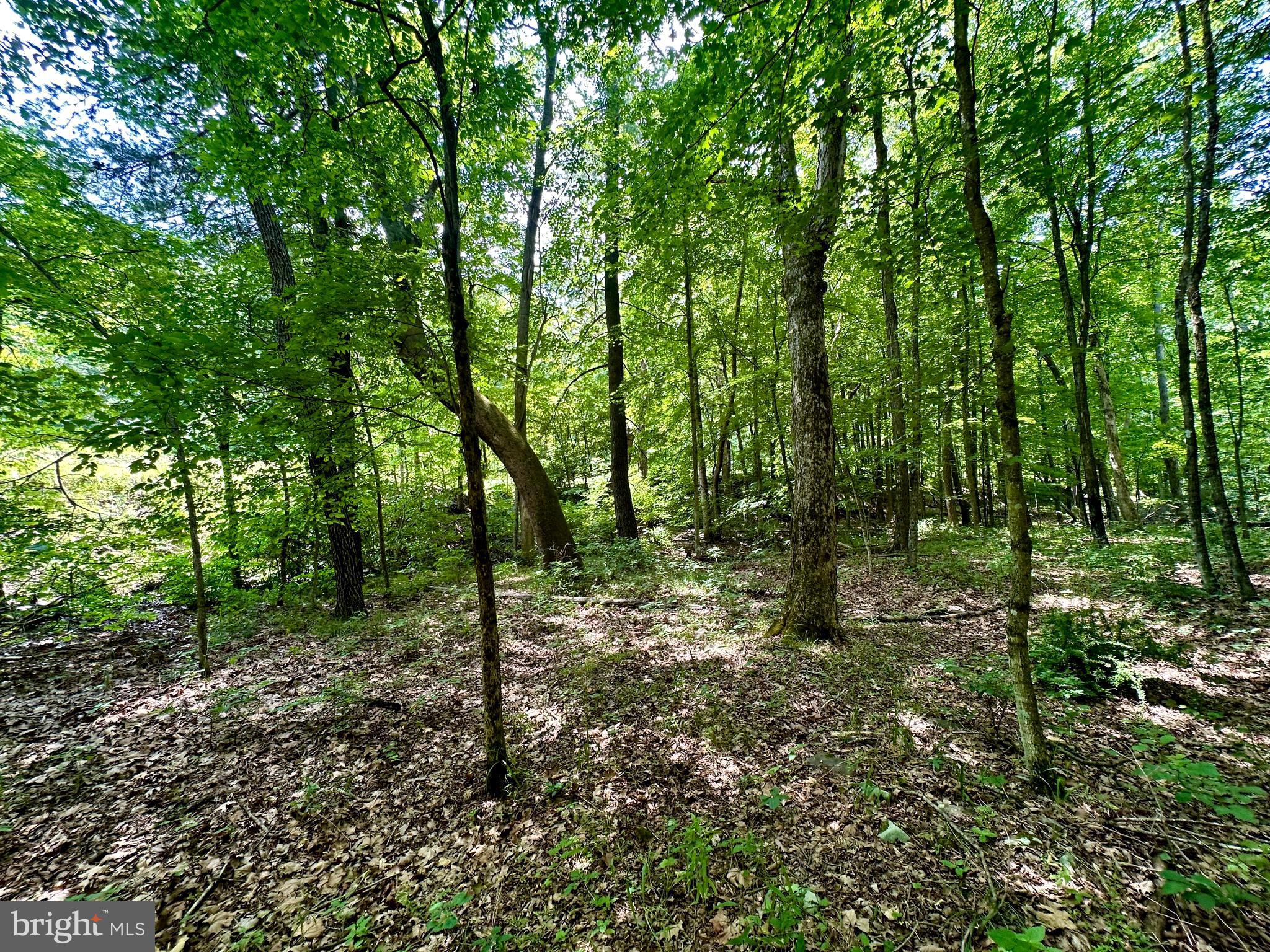 ASHTON WOODS - Land