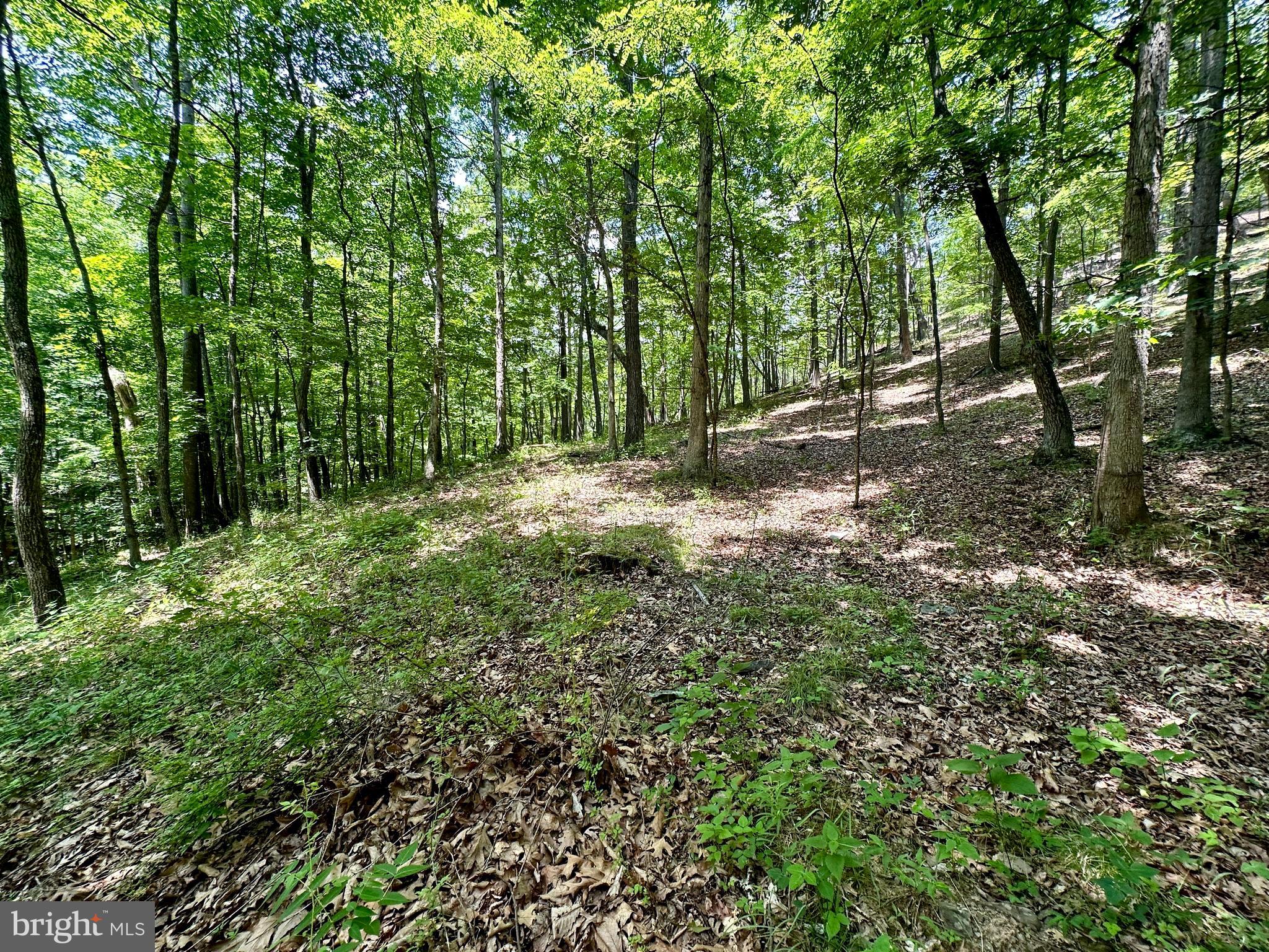 ASHTON WOODS - Land