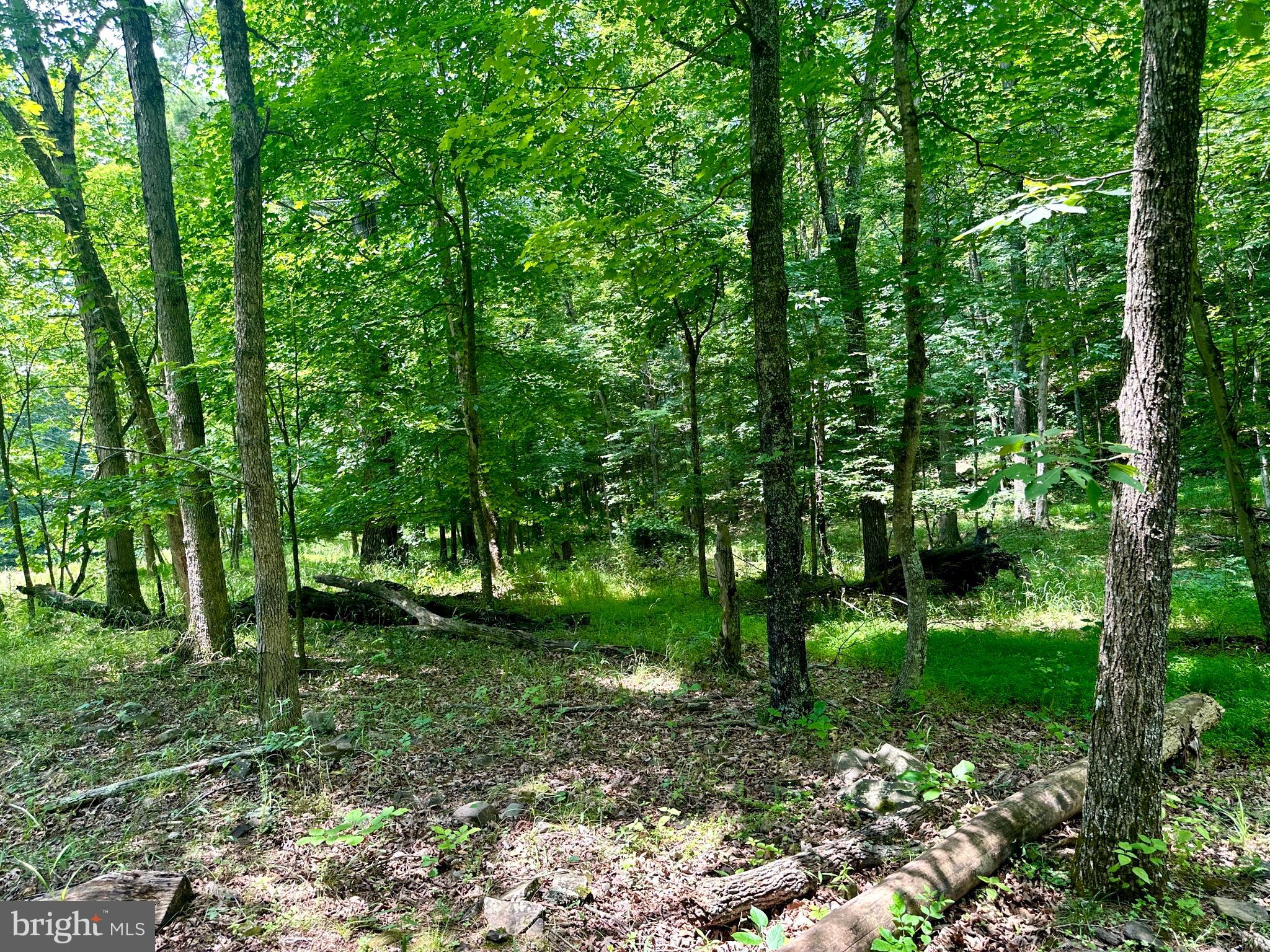 ASHTON WOODS - Land