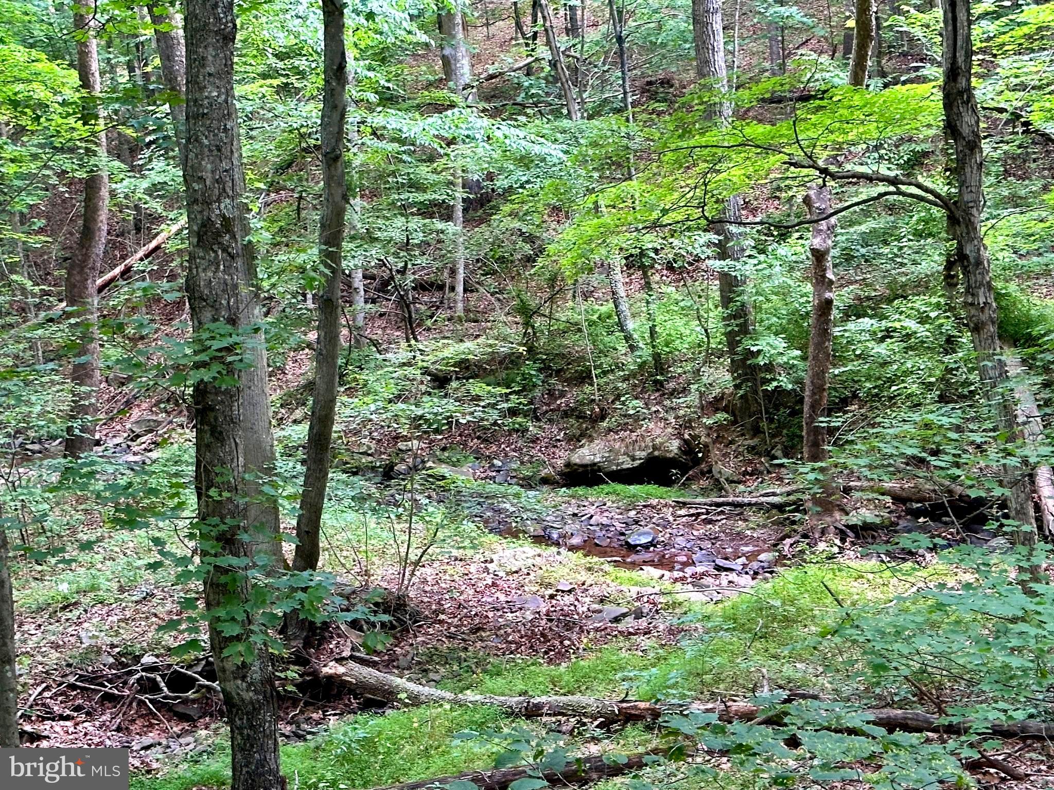 ASHTON WOODS - Land