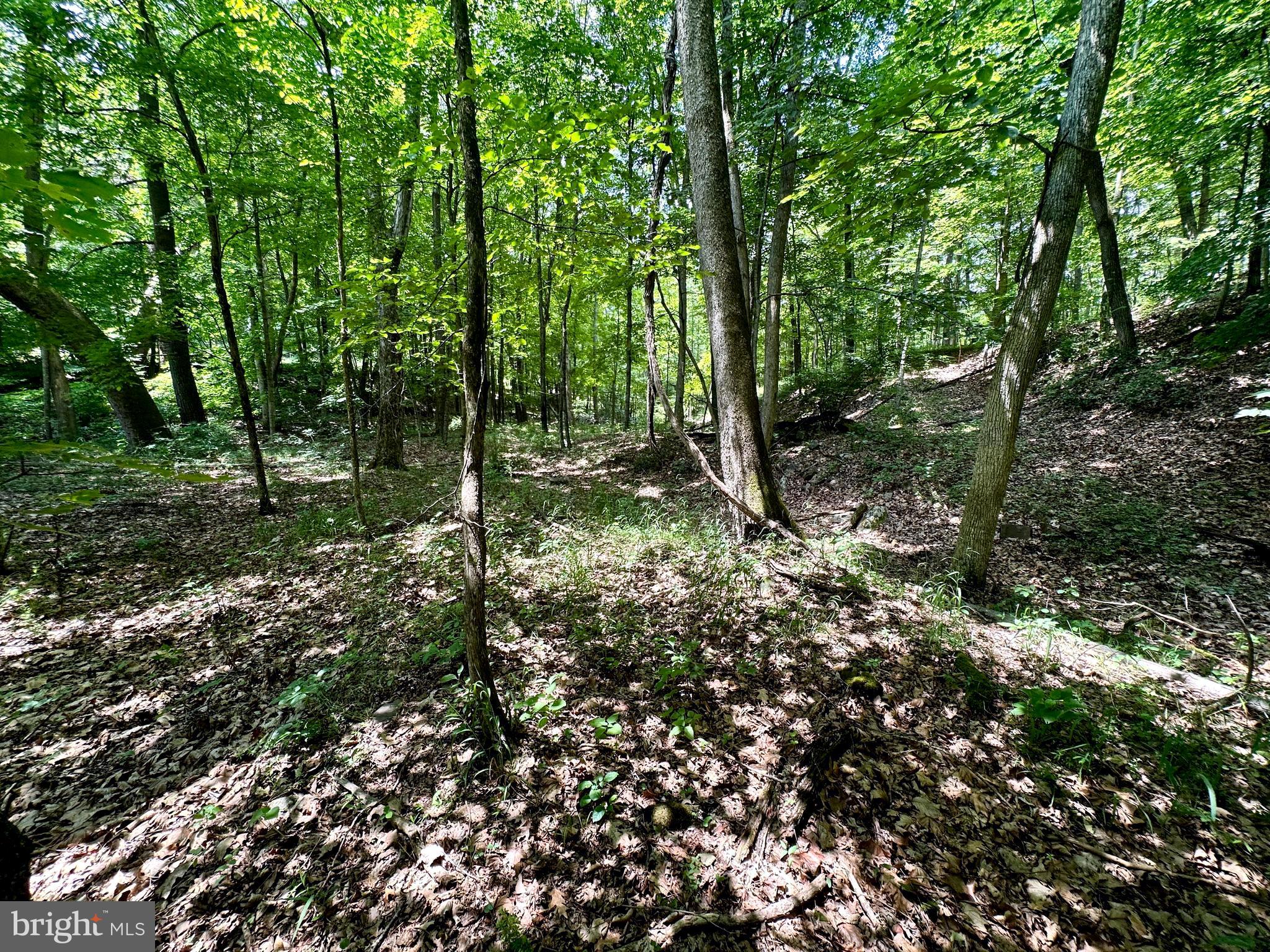 ASHTON WOODS - Land