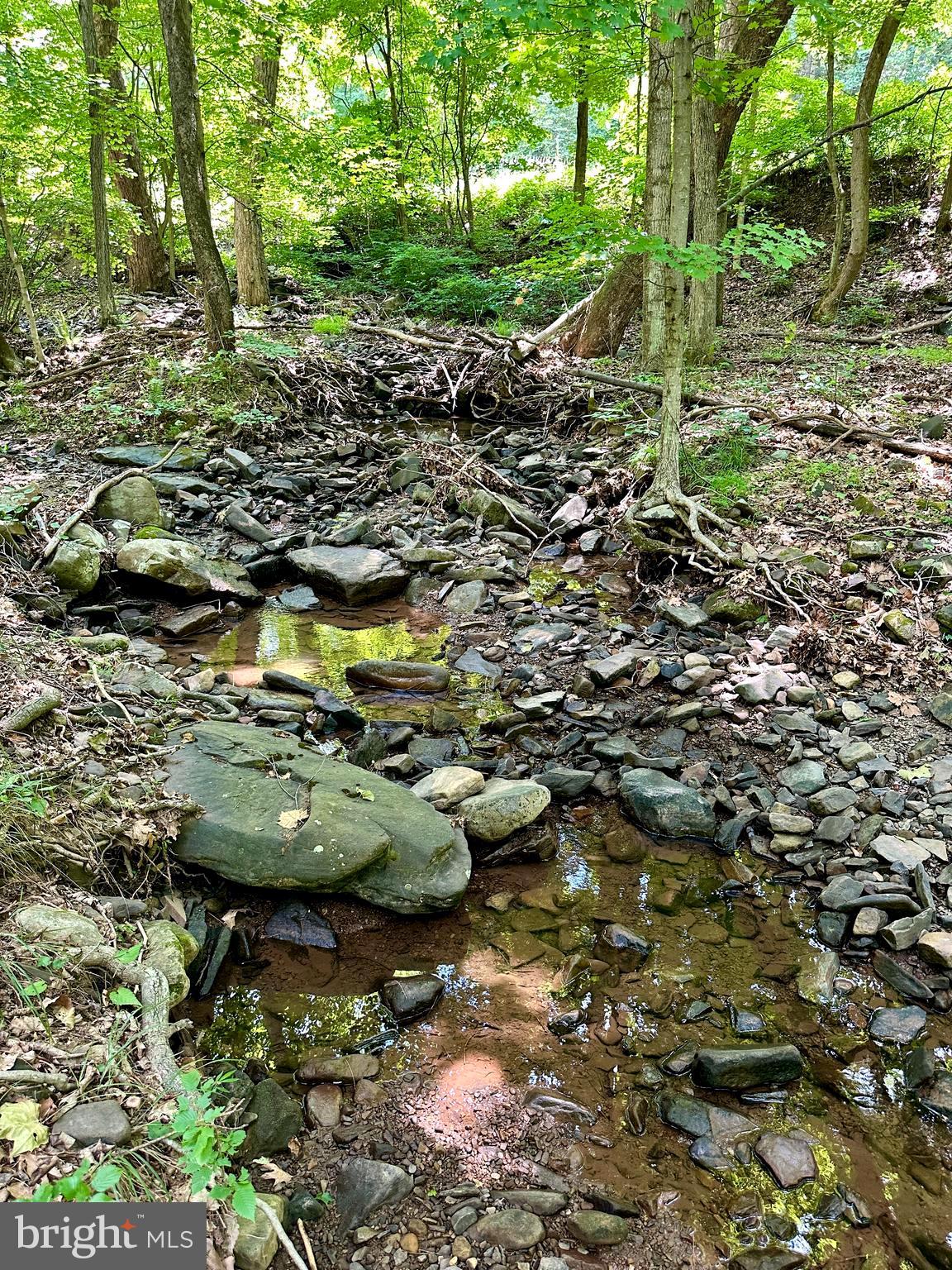 ASHTON WOODS - Land