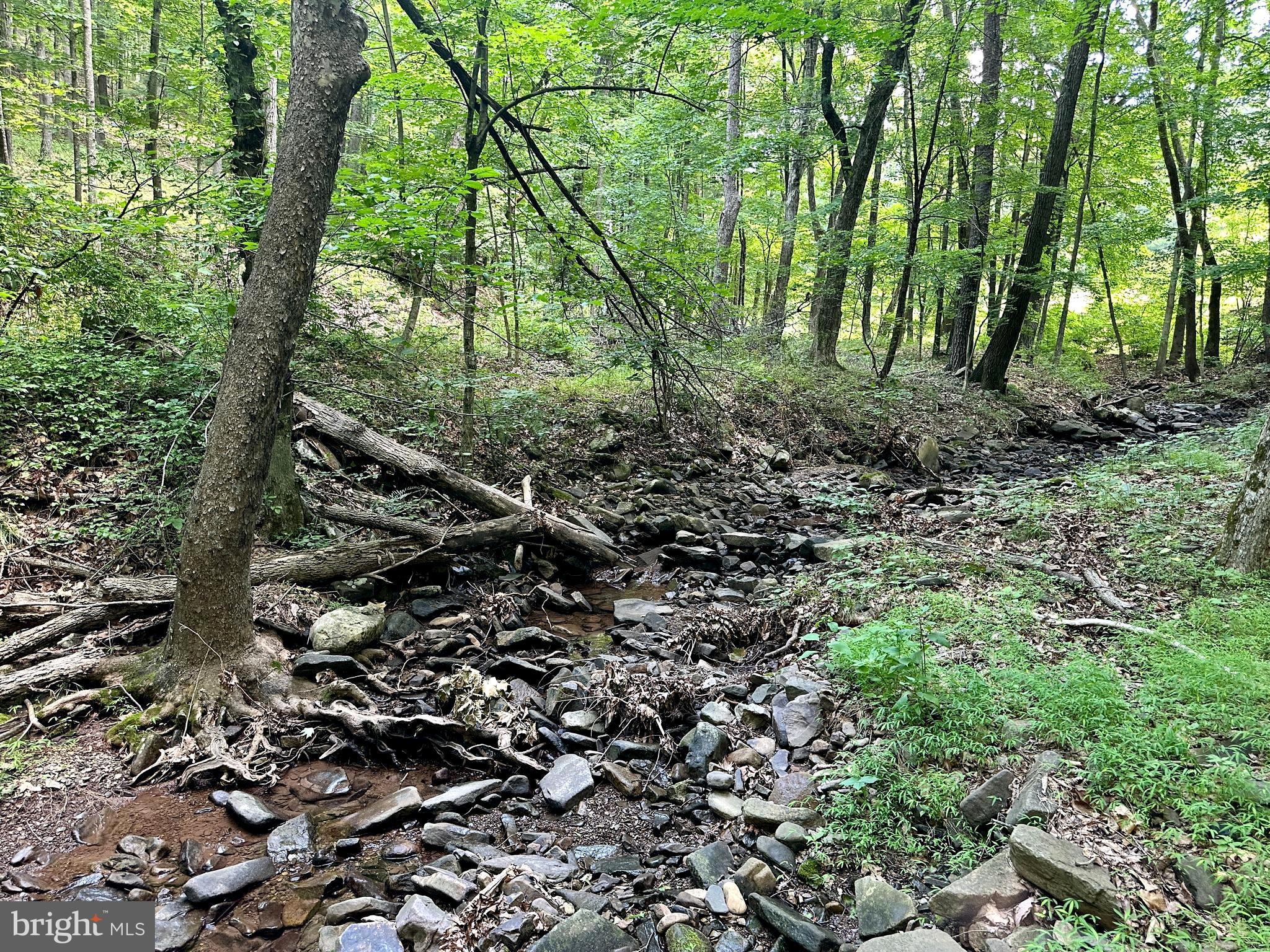 ASHTON WOODS - Land