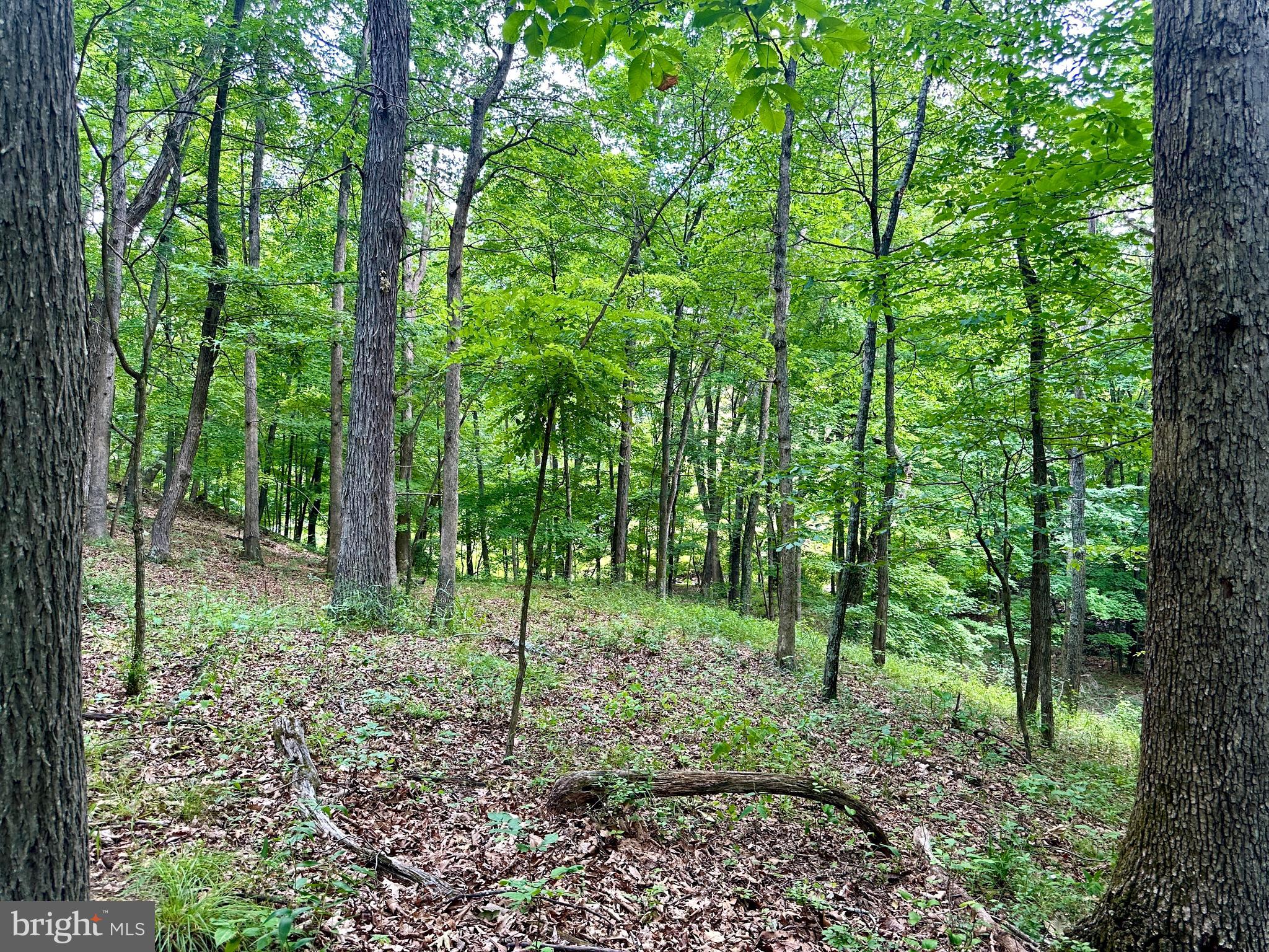 ASHTON WOODS - Land