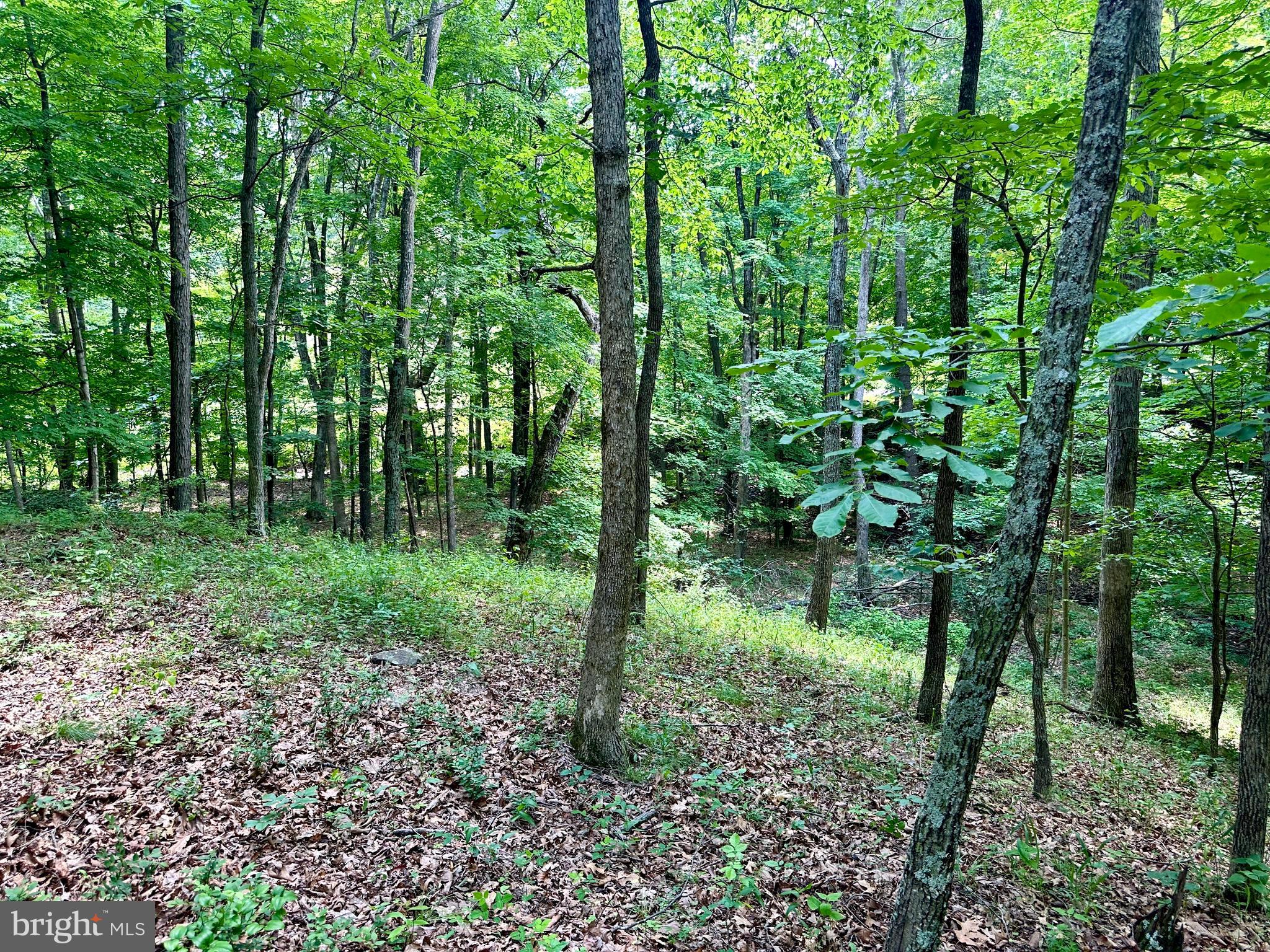 ASHTON WOODS - Land