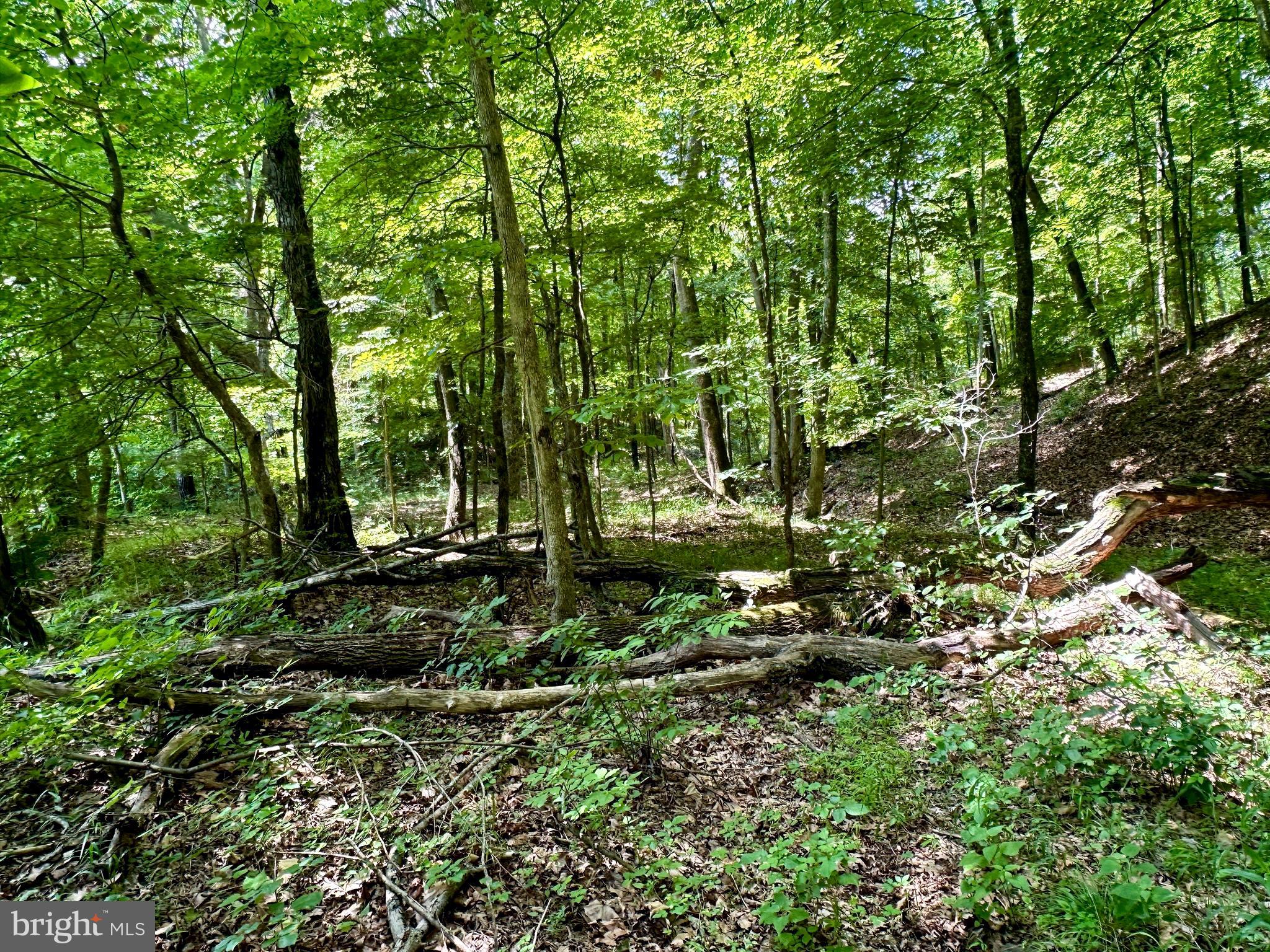 ASHTON WOODS - Land
