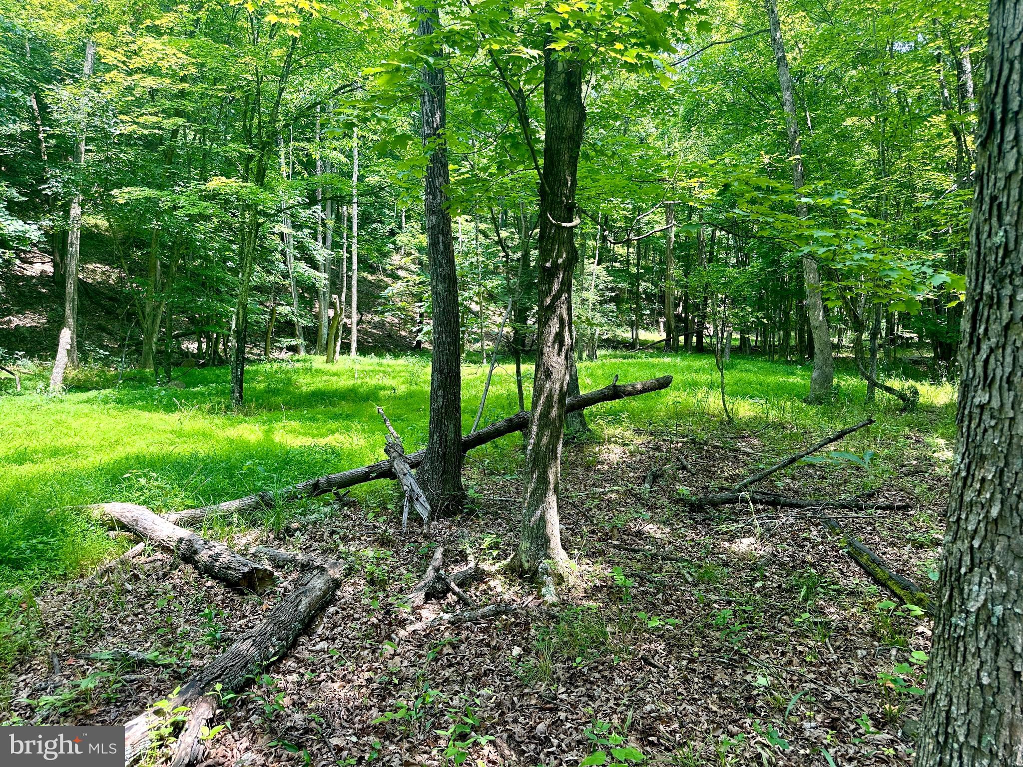 ASHTON WOODS - Land