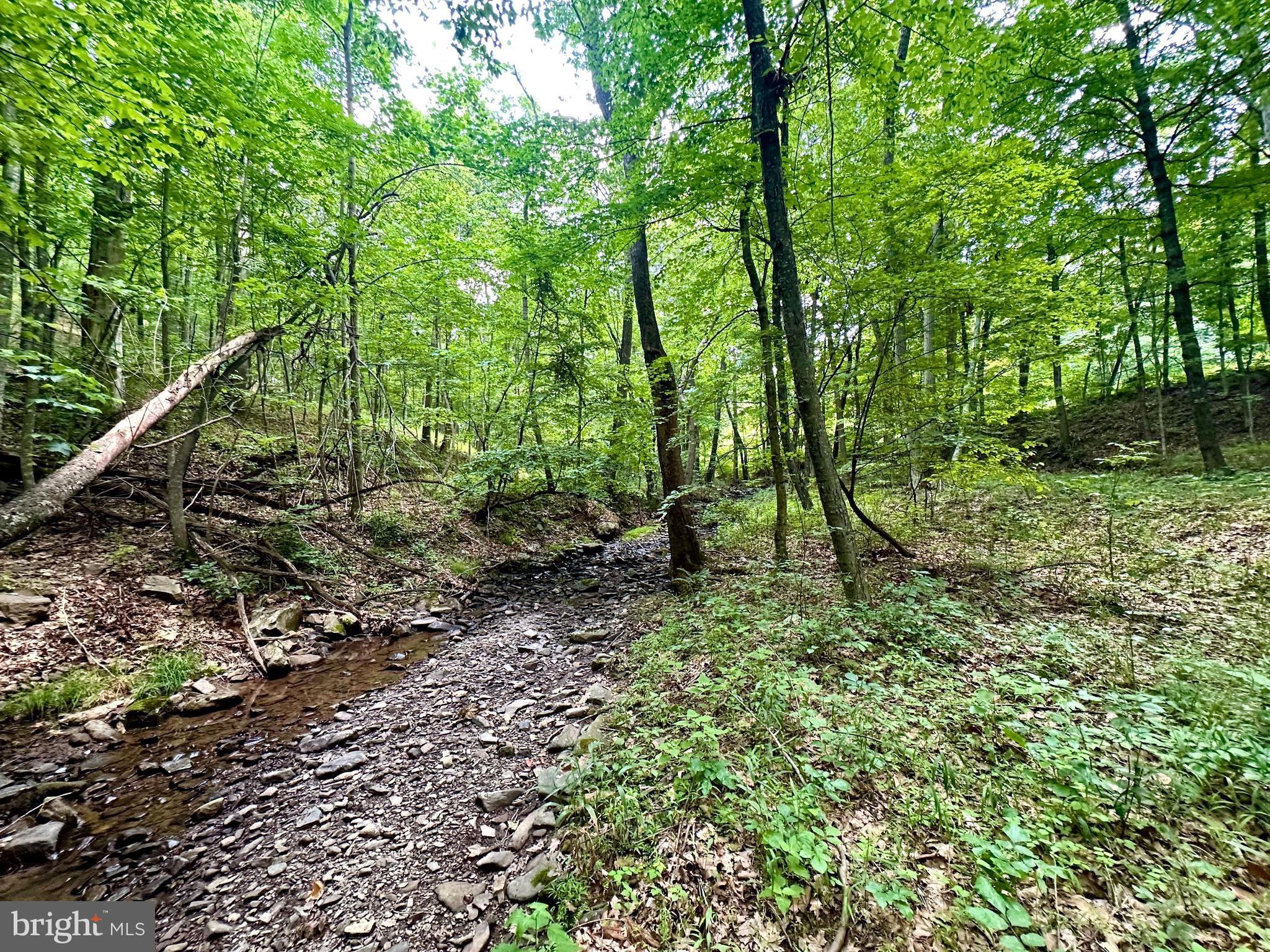 ASHTON WOODS - Land