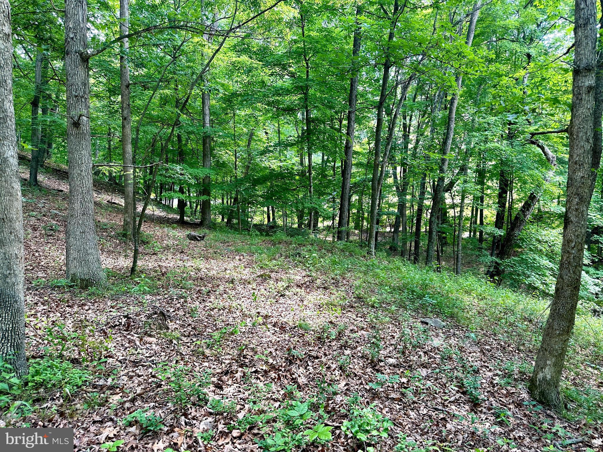 ASHTON WOODS - Land