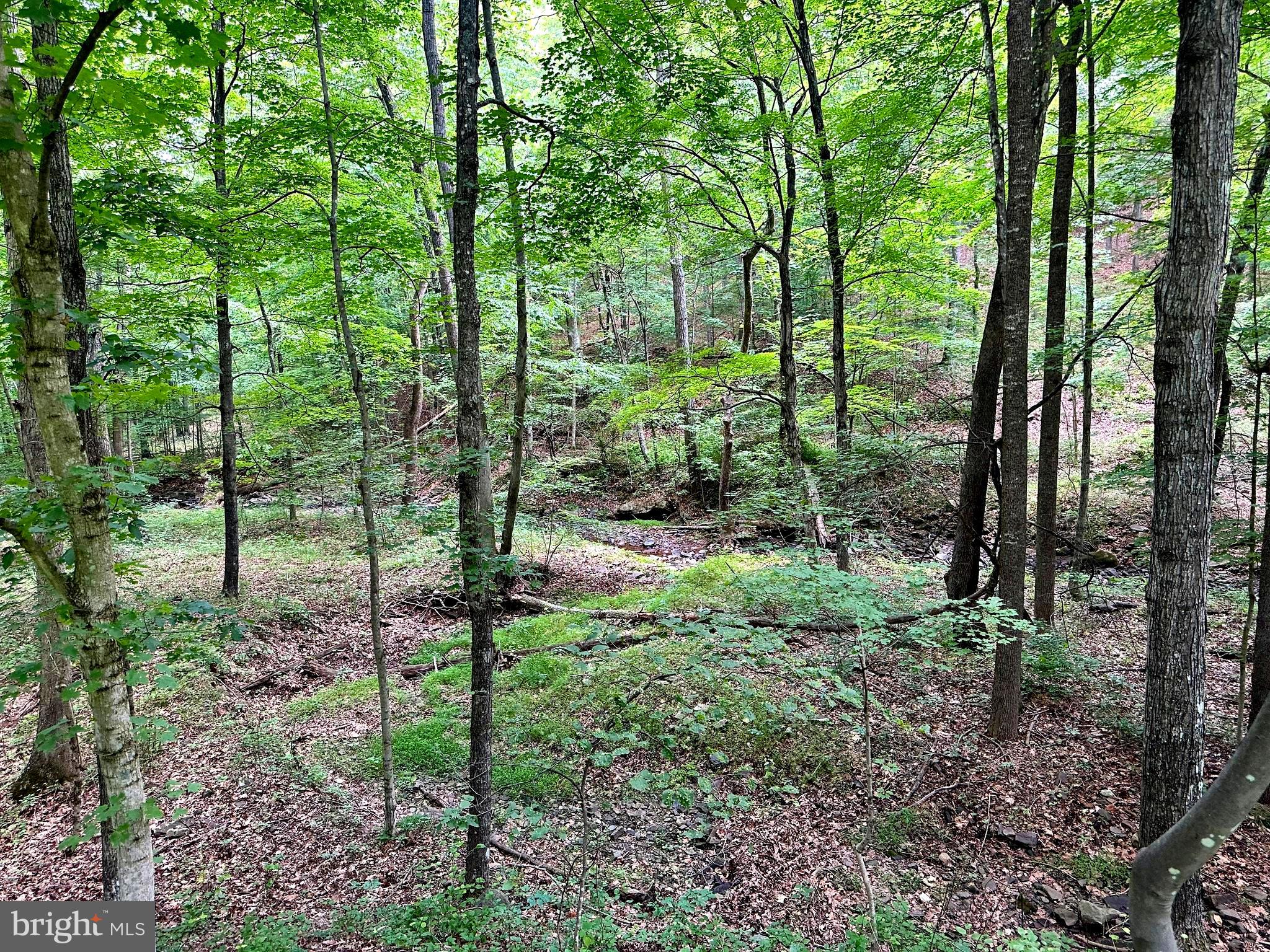 ASHTON WOODS - Land