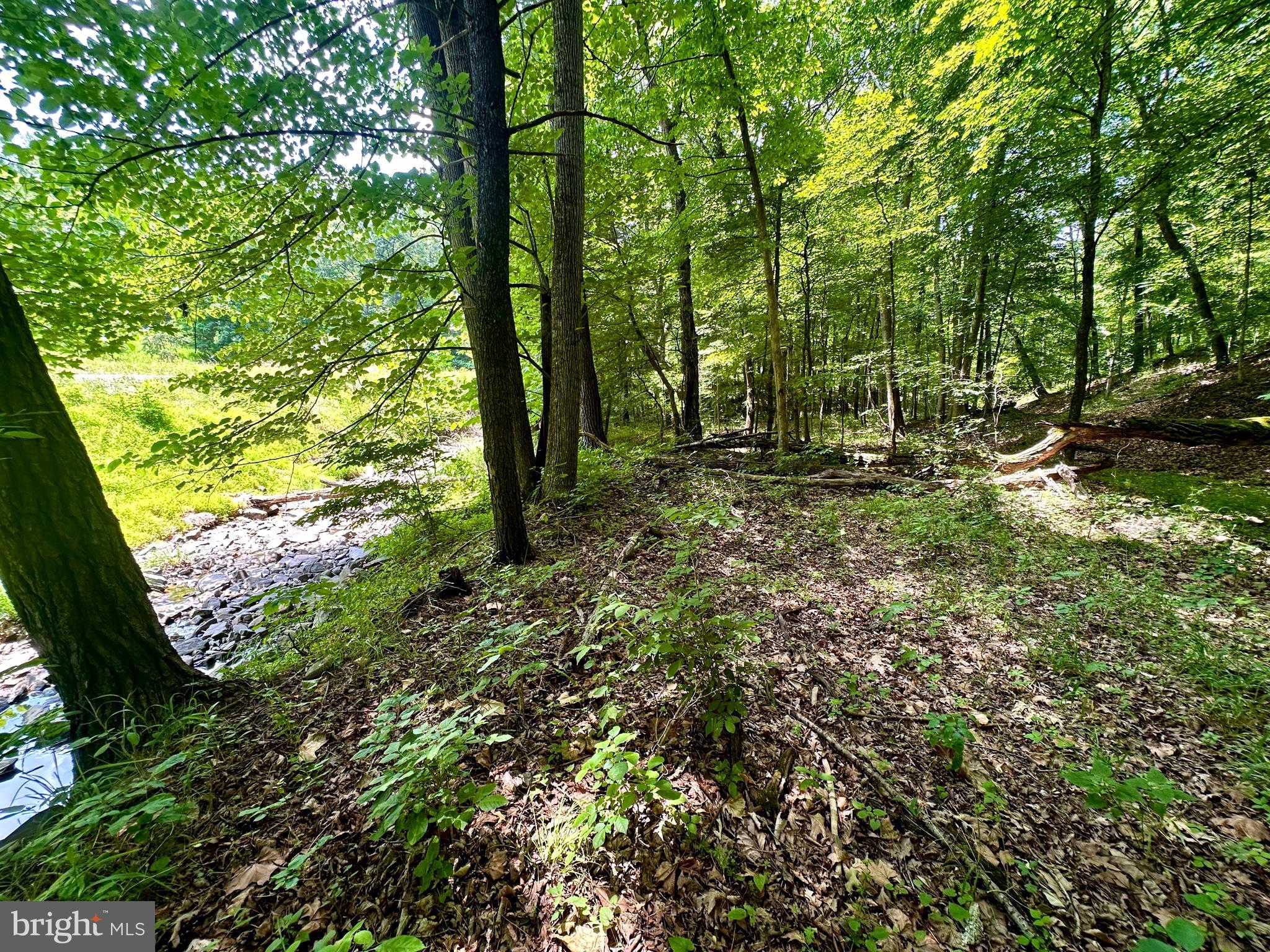 ASHTON WOODS - Land