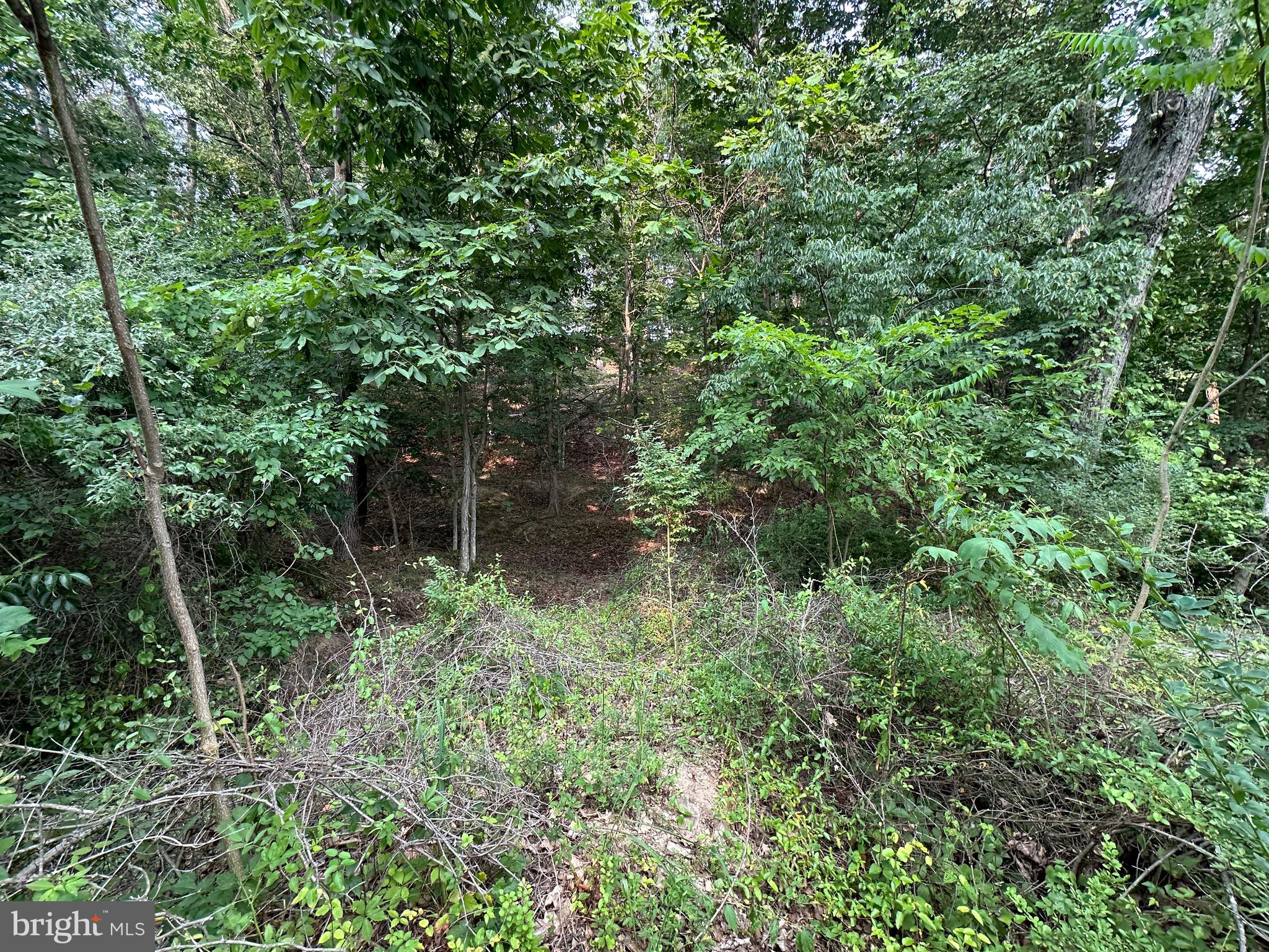 LAKE HOLIDAY ESTATES - Land