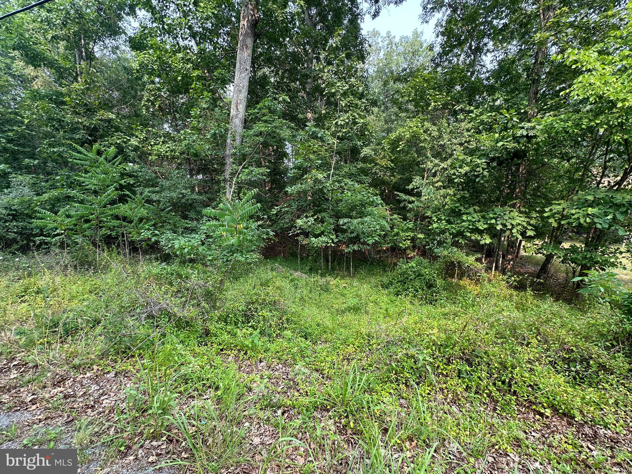 LAKE HOLIDAY ESTATES - Land