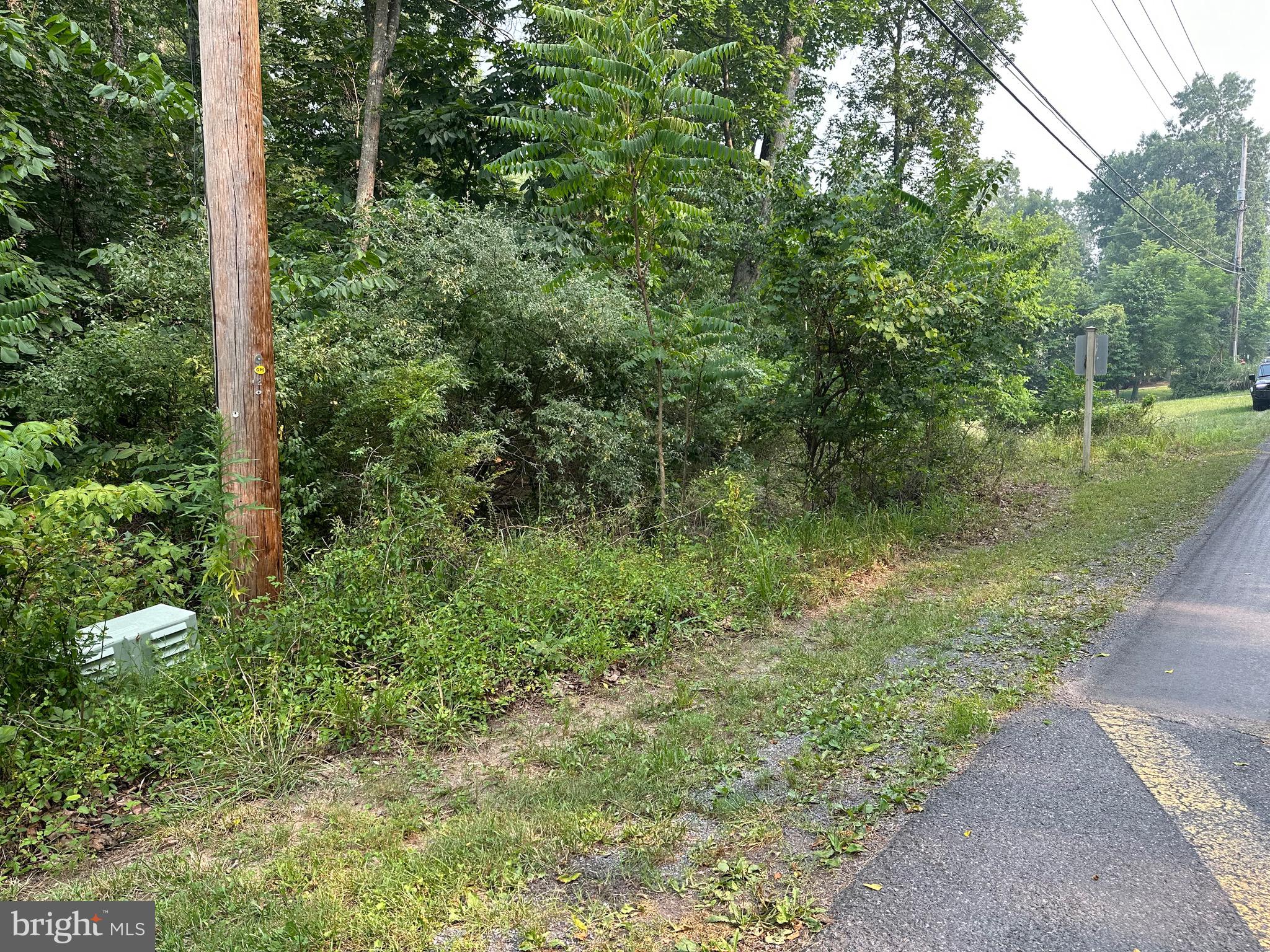 Build your dream home on this beautiful wooded building lot in the sought-after gated community of Lake Holiday! Ideally located near the front gate and community bus stop, this homesite backs to peaceful farmland and offers easy access to scenic walking trails leading to the lake, beaches, and ponds. Enjoy outstanding community amenities including a 240-acre private lake, beaches, boating, fishing, swimming, pools, clubhouse, sports courts, playgrounds, dog park, campground, and year-round activities. Whether you're looking for a full-time residence or a weekend retreat, this is a wonderful opportunity to own a prime lot in one of the area's most desirable lake communities. Current Aqua Virginia water/sewer tap fee is only $5000.