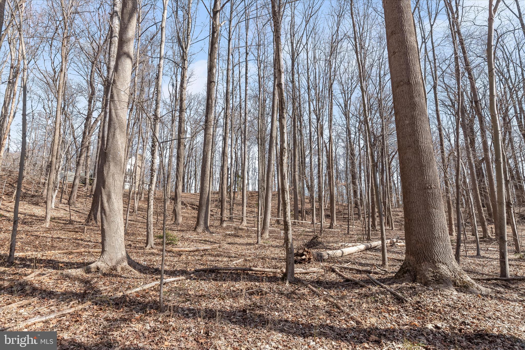 MERRYWOOD MANOR - Land