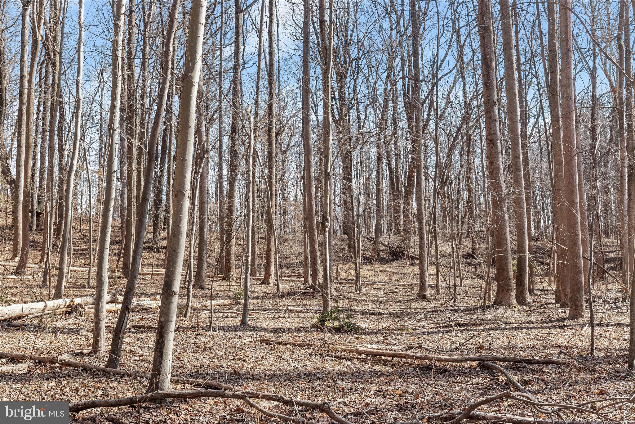 MERRYWOOD MANOR - Land