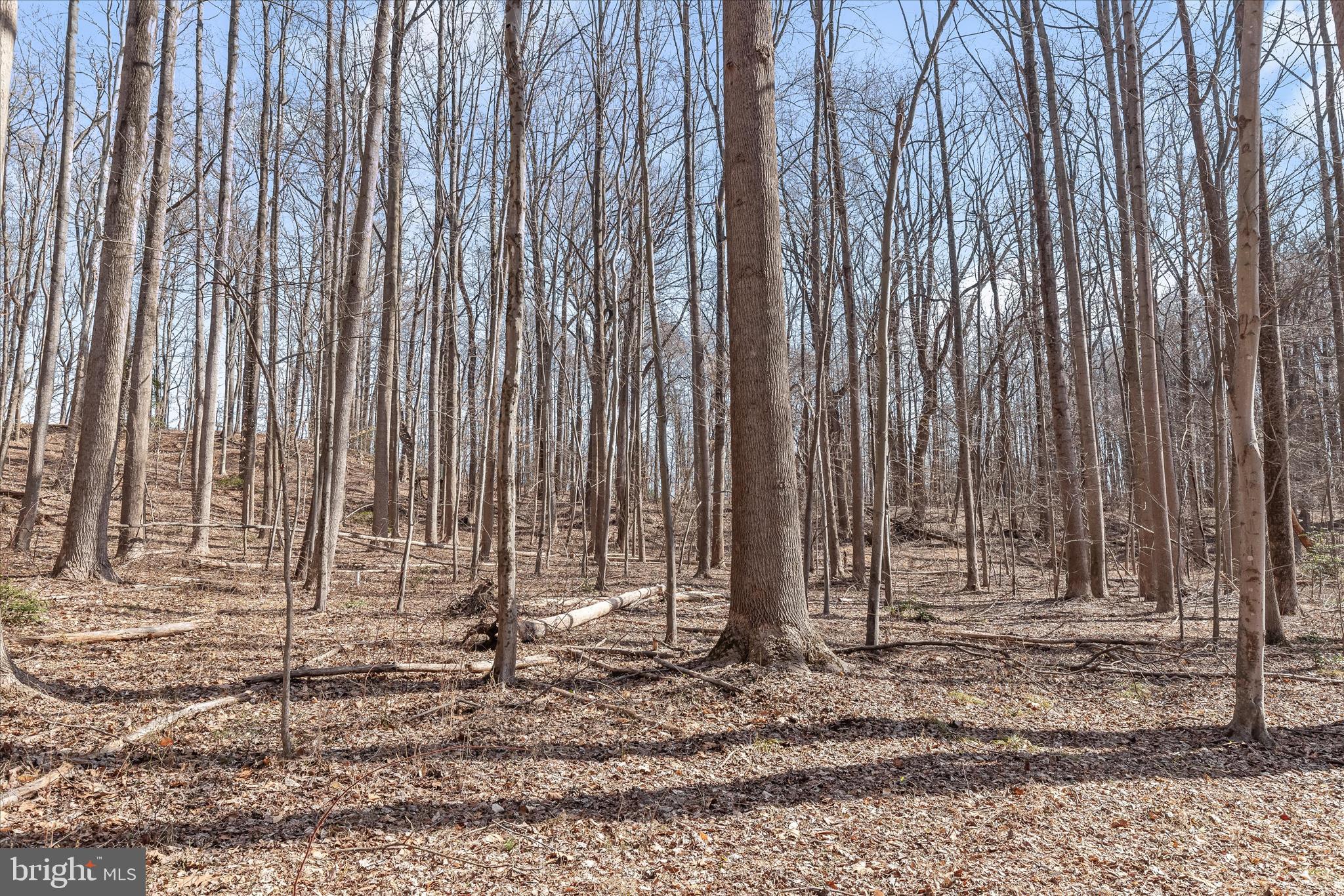 MERRYWOOD MANOR - Land