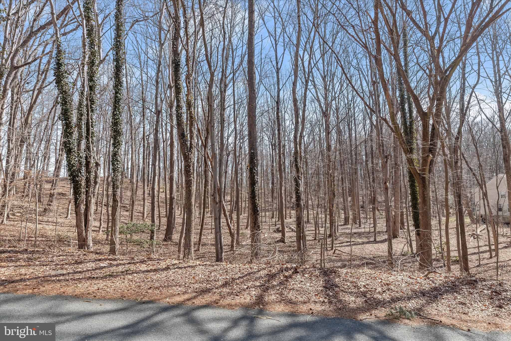 MERRYWOOD MANOR - Land