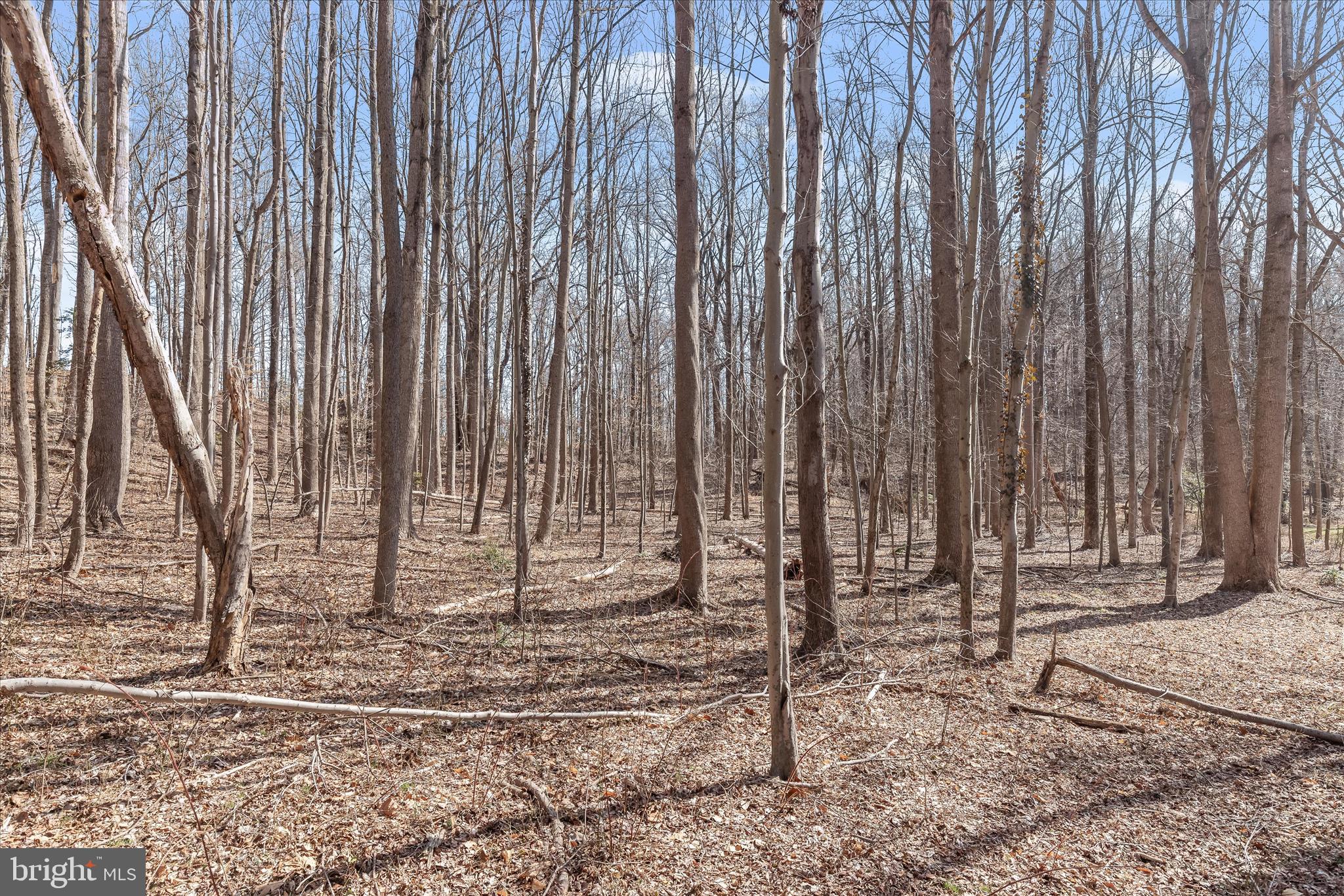 MERRYWOOD MANOR - Land