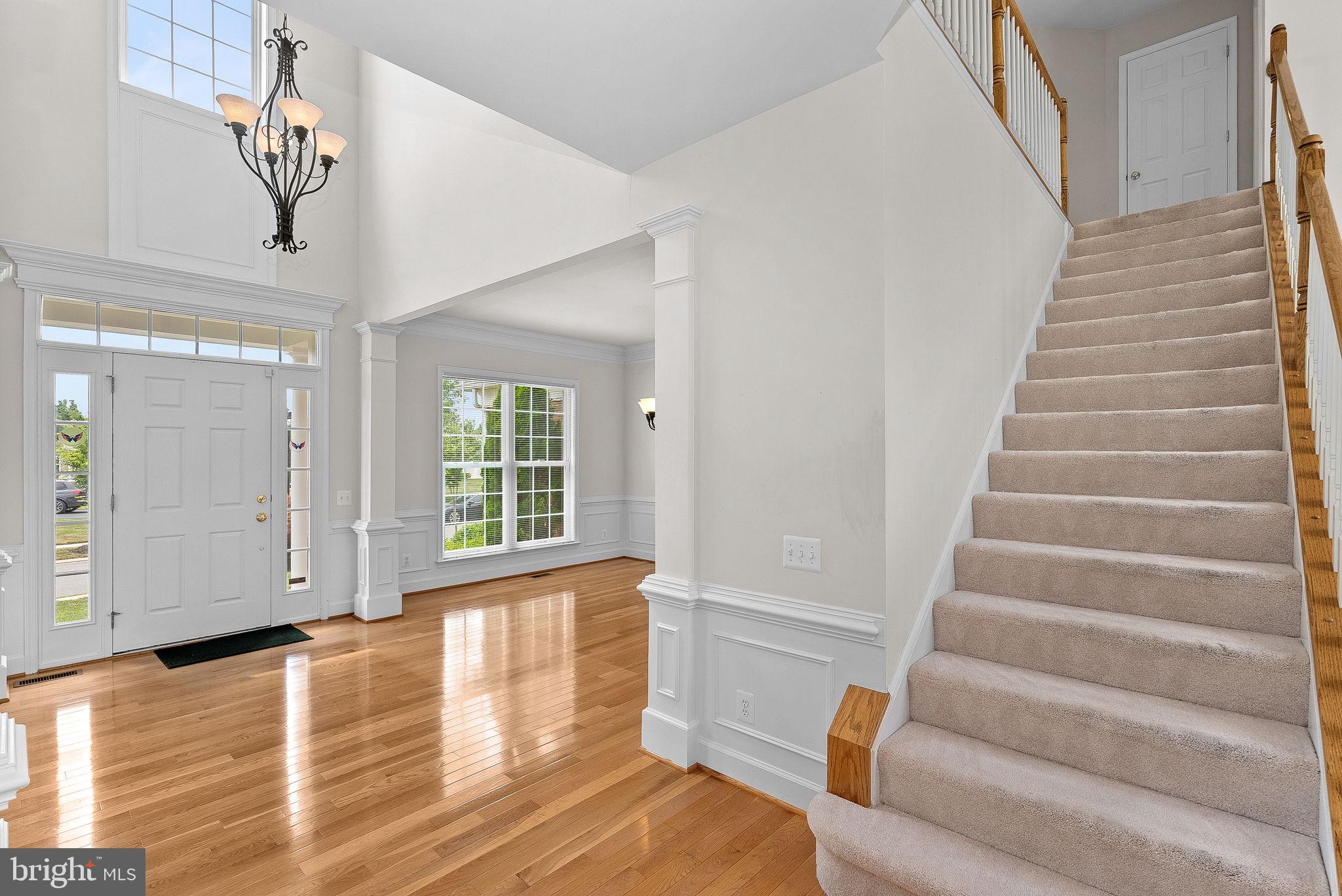 RED CEDAR - Residential