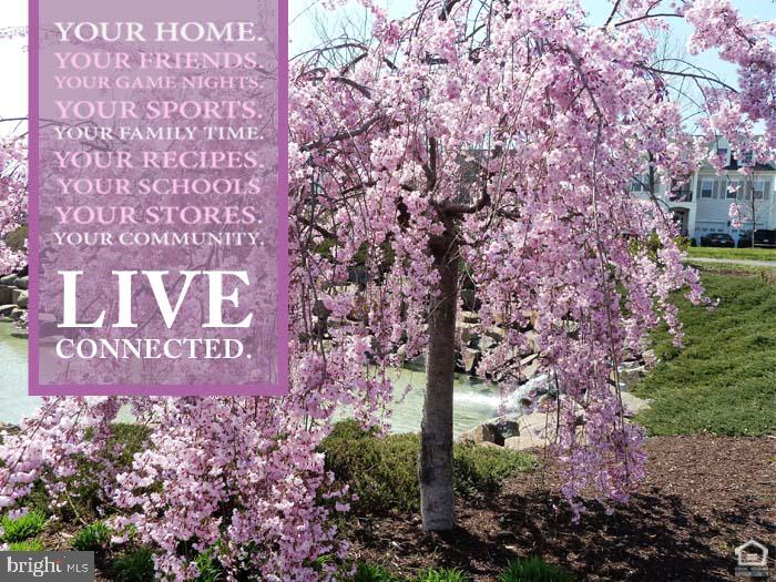 BRAMBLETON - Residential