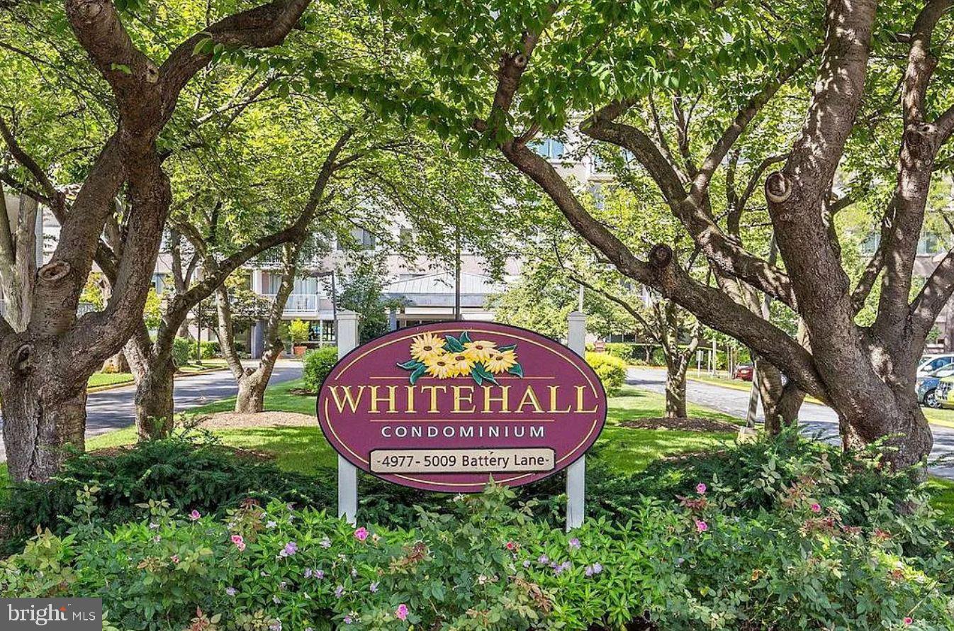 WHITEHALL - Residential