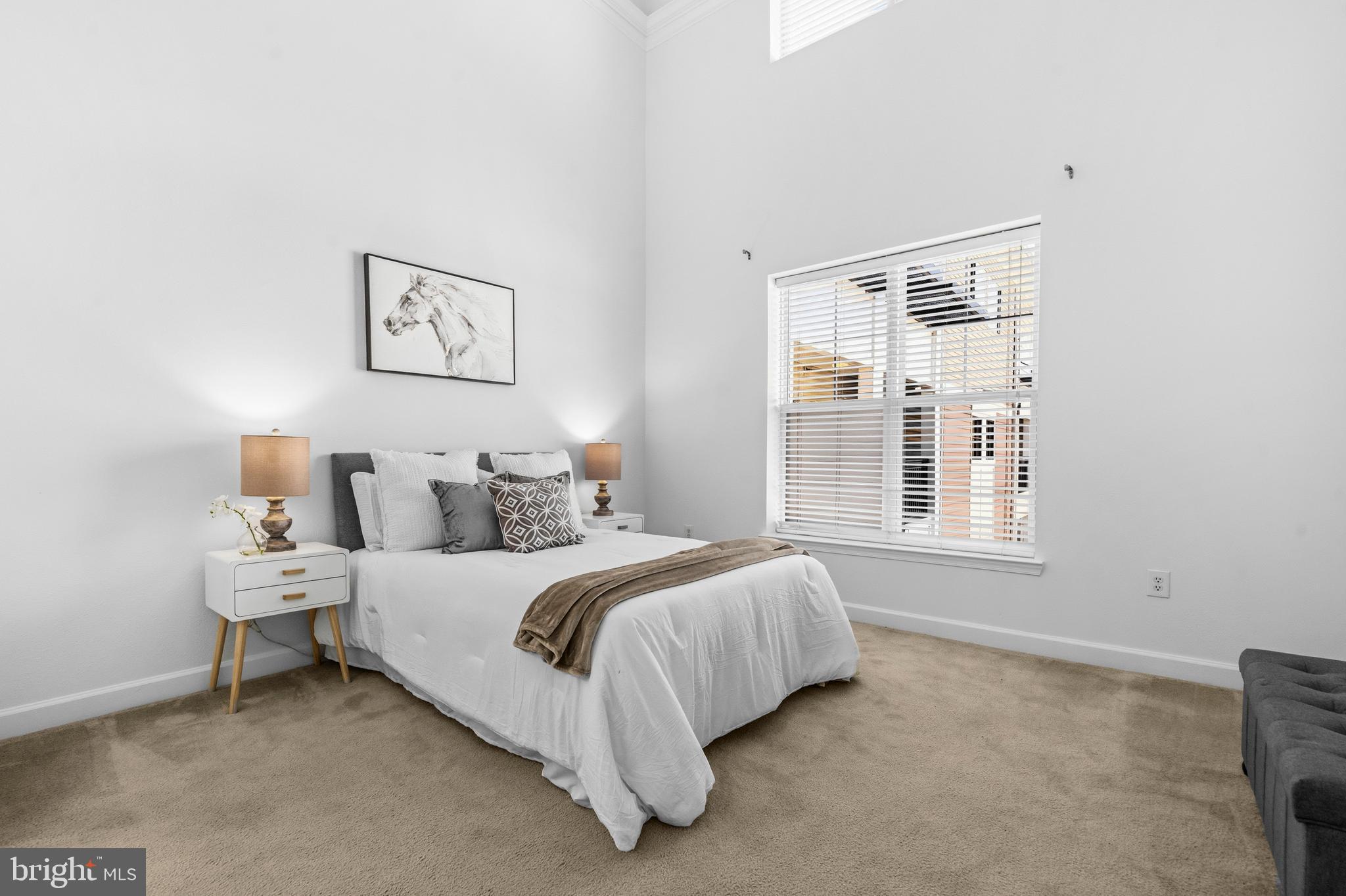 FITZ AT ROCKVILLE TOWN C - Residential