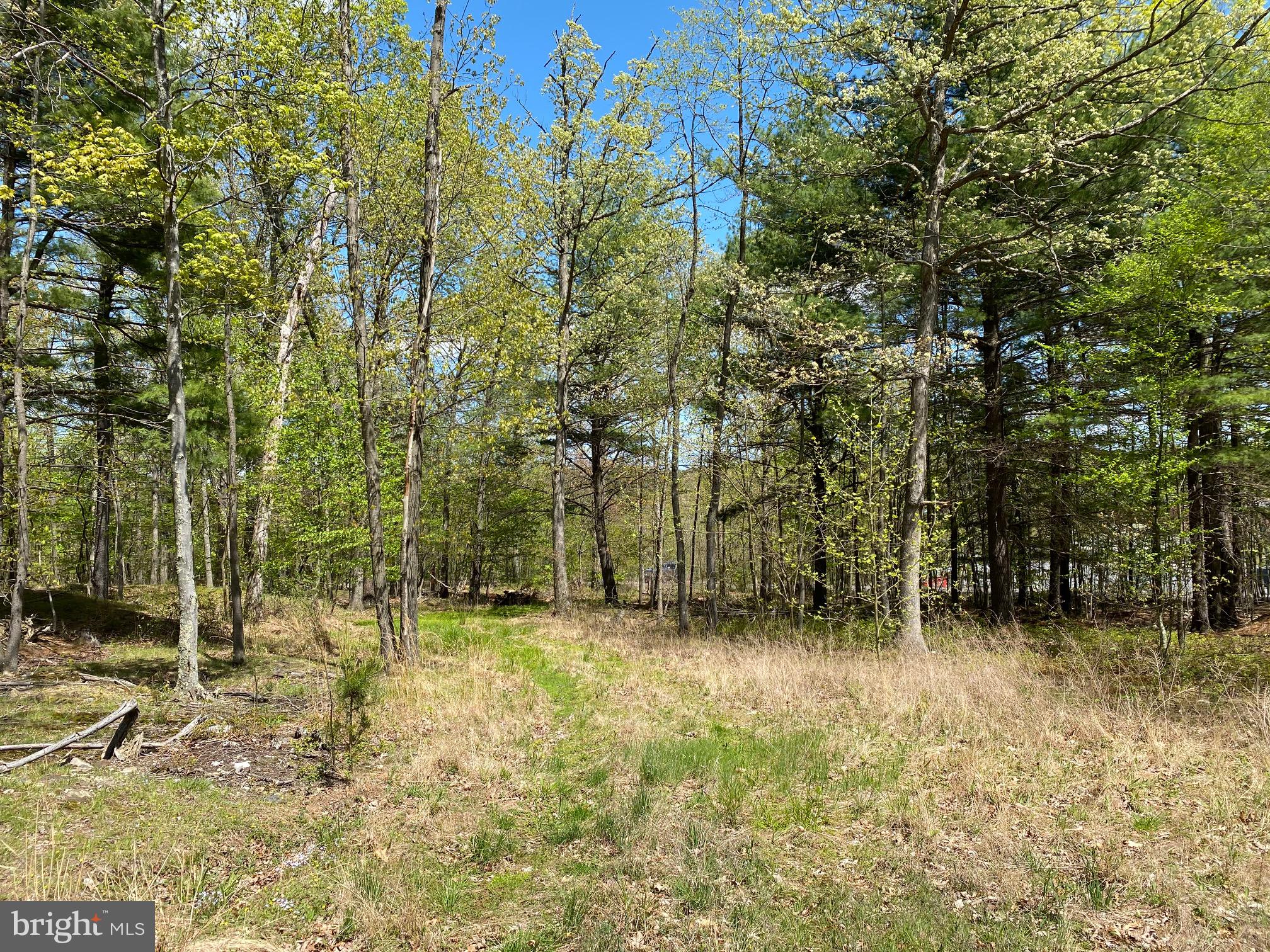 SHIRLEY FARMS WEST - Land