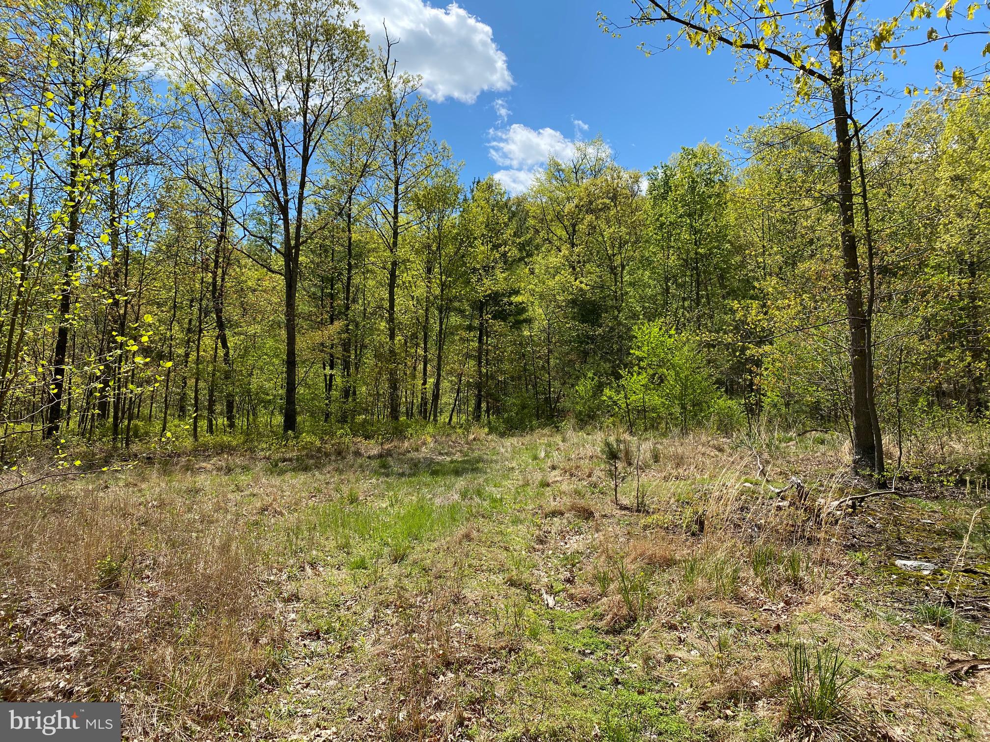 SHIRLEY FARMS WEST - Land