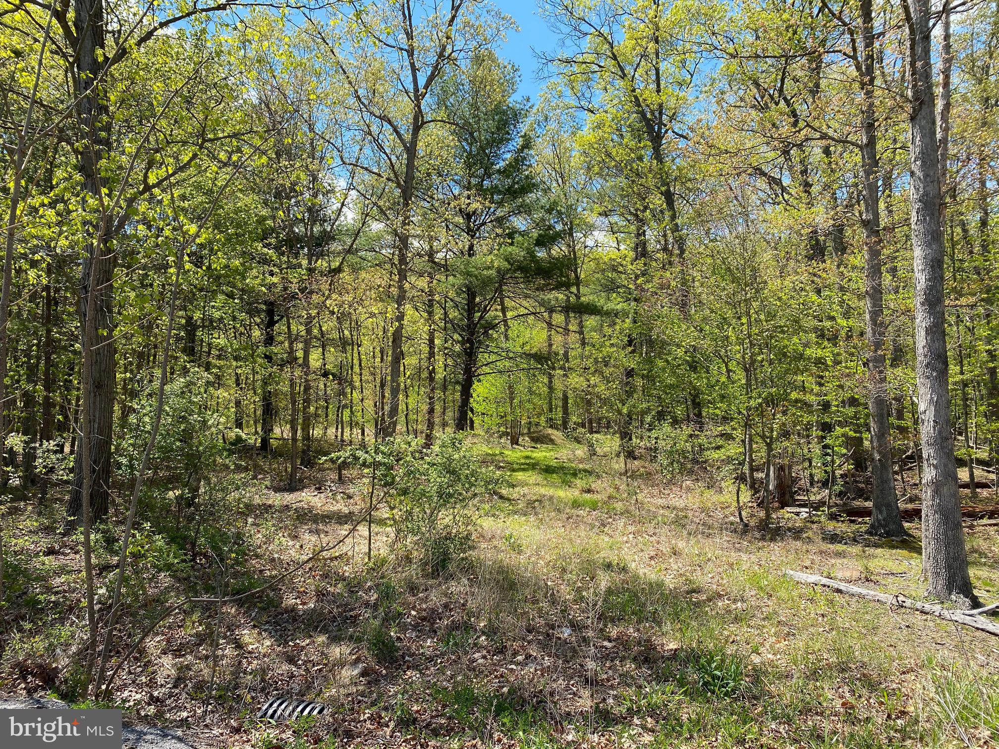 SHIRLEY FARMS WEST - Land