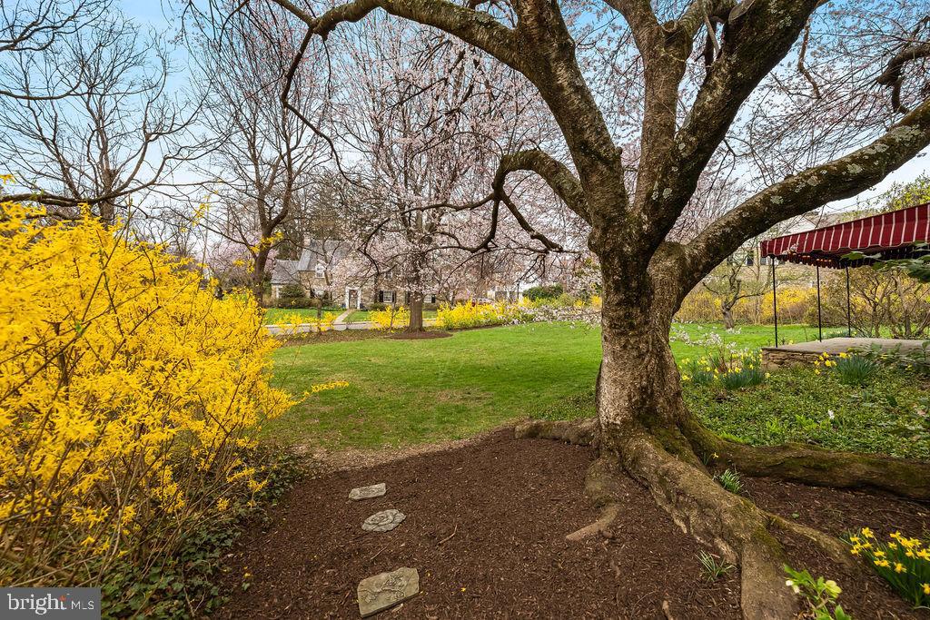 GREATER HOMELAND HISTORIC DISTRICT - Residential