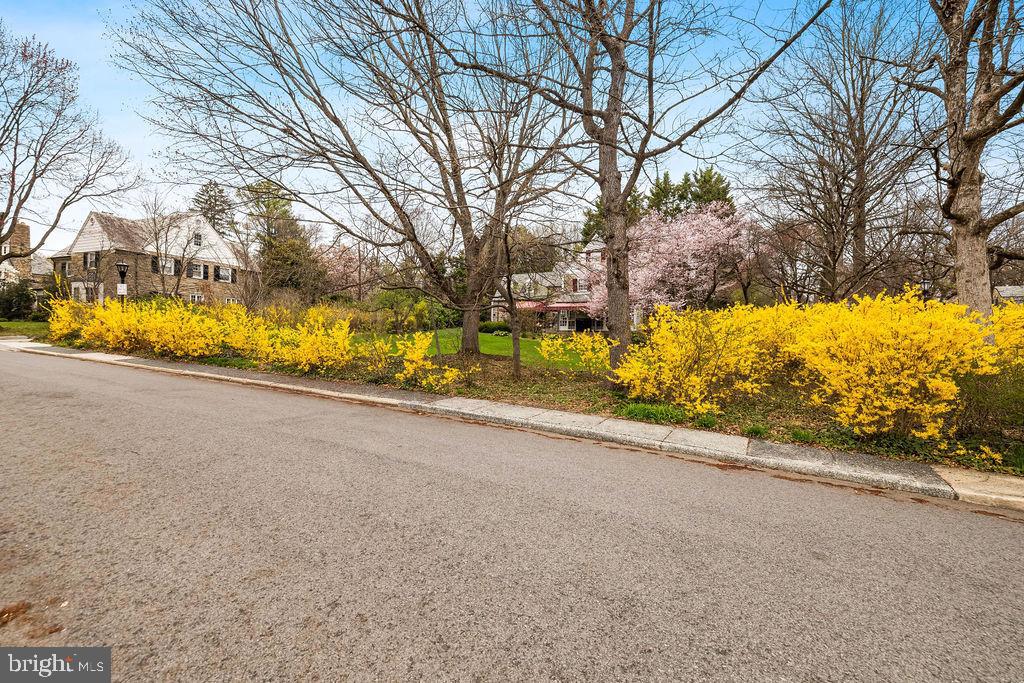 GREATER HOMELAND HISTORIC DISTRICT - Residential