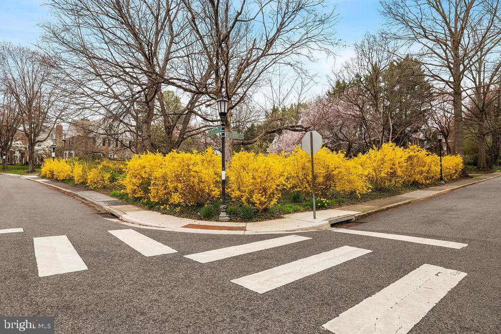 GREATER HOMELAND HISTORIC DISTRICT - Residential