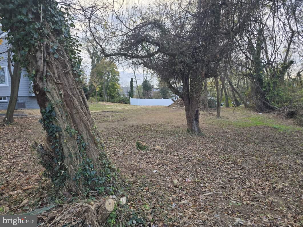 DOUGLAS PARK - Land