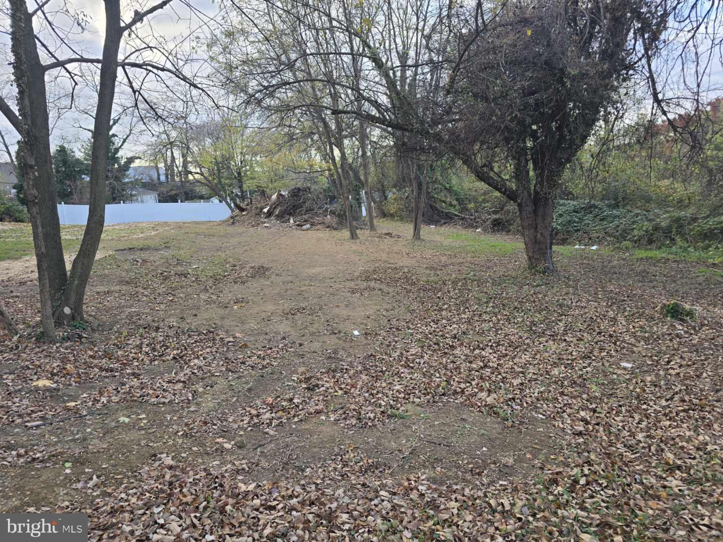DOUGLAS PARK - Land