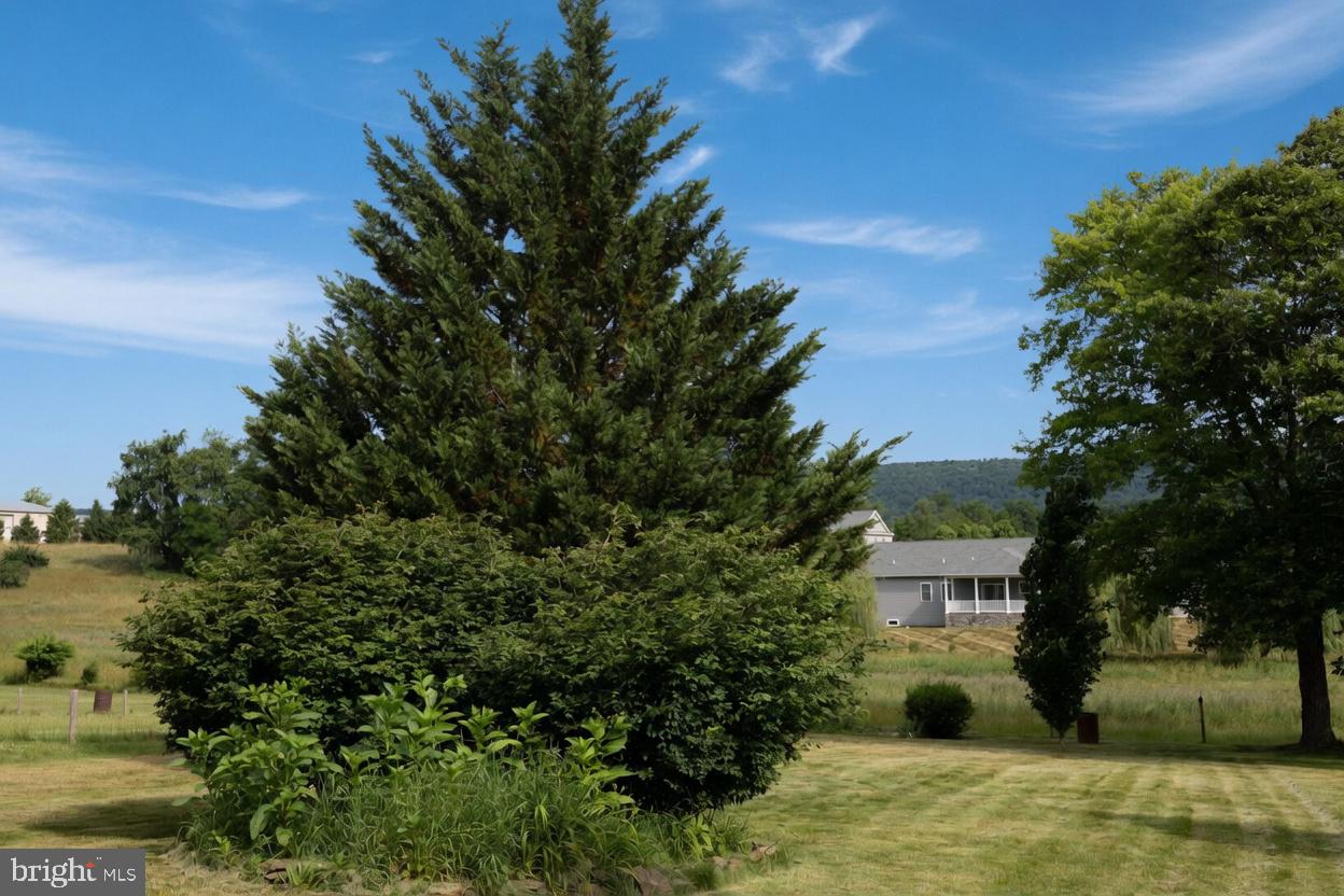 VILLAGE OF LINGLESTOWN - Land